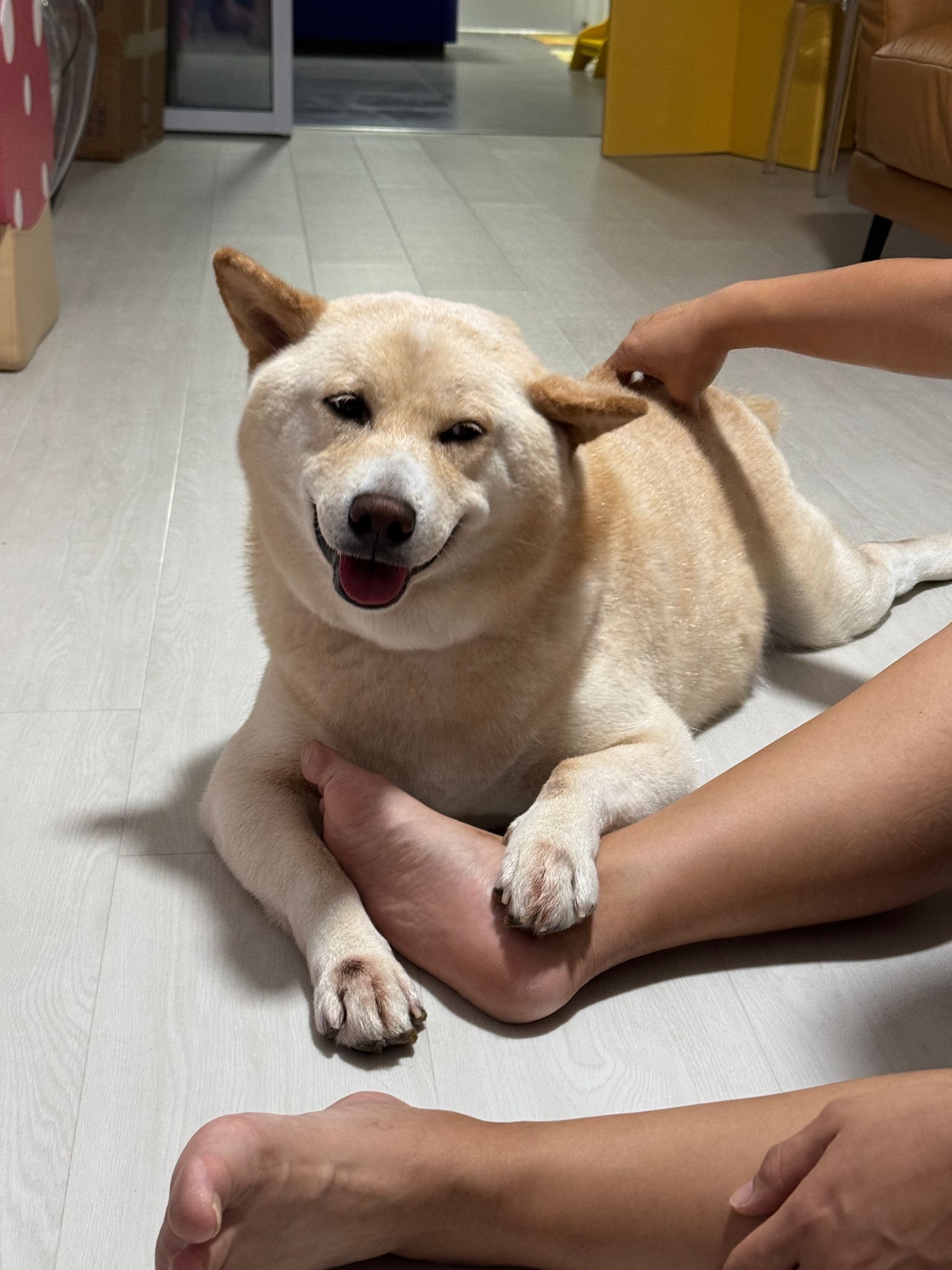 image-21