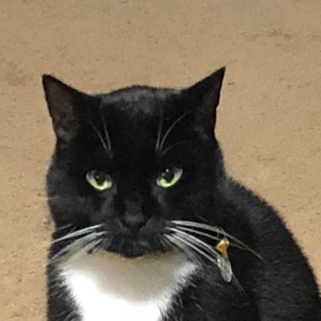 Milo