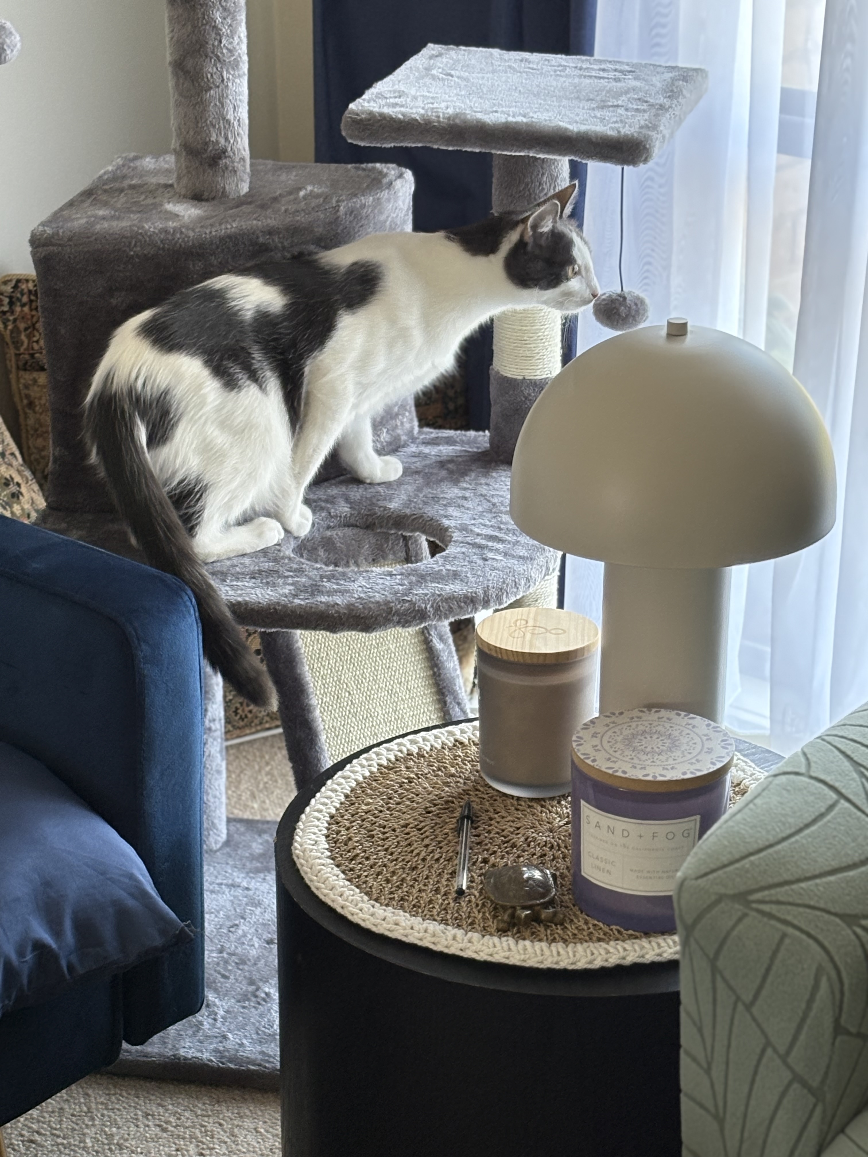 image-11
