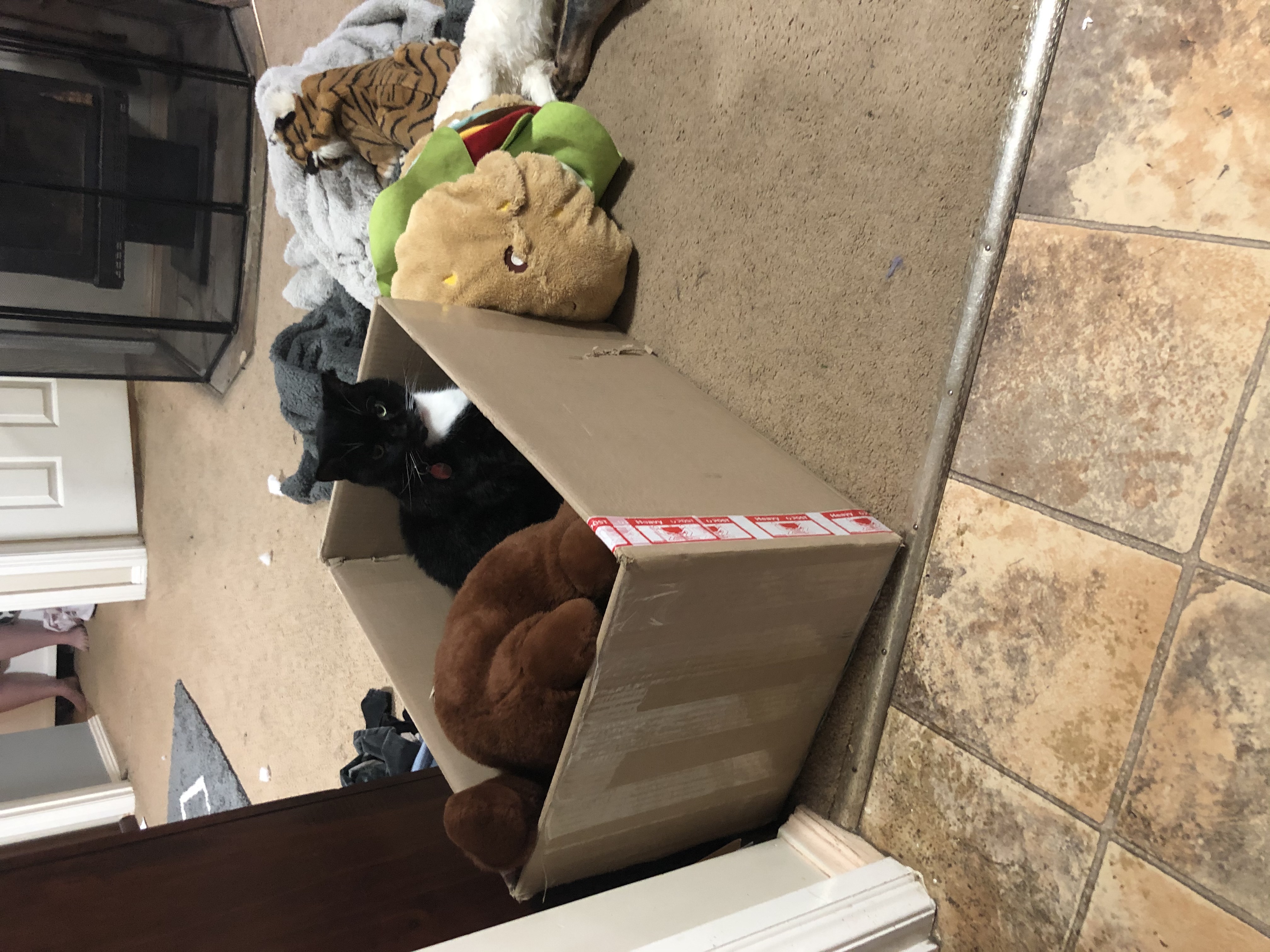 image-1