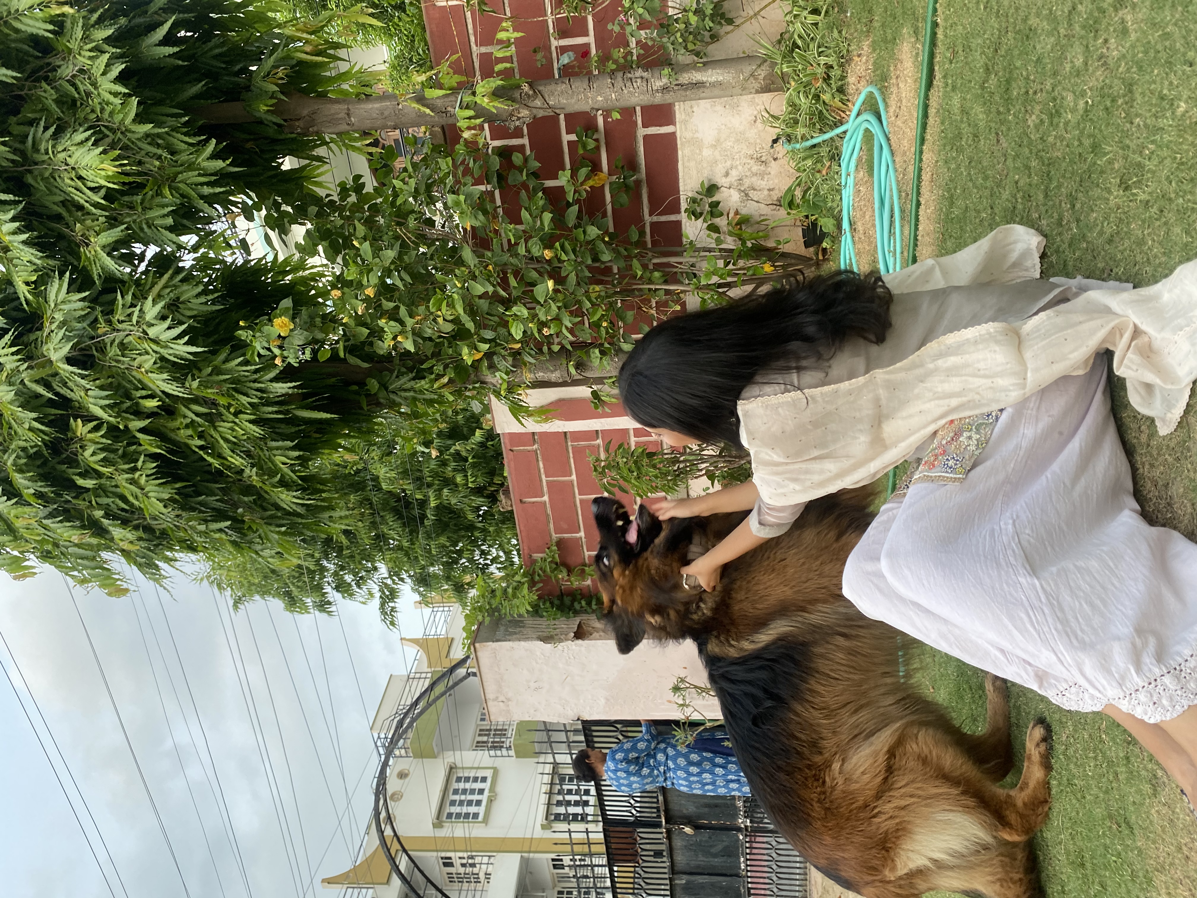image-8