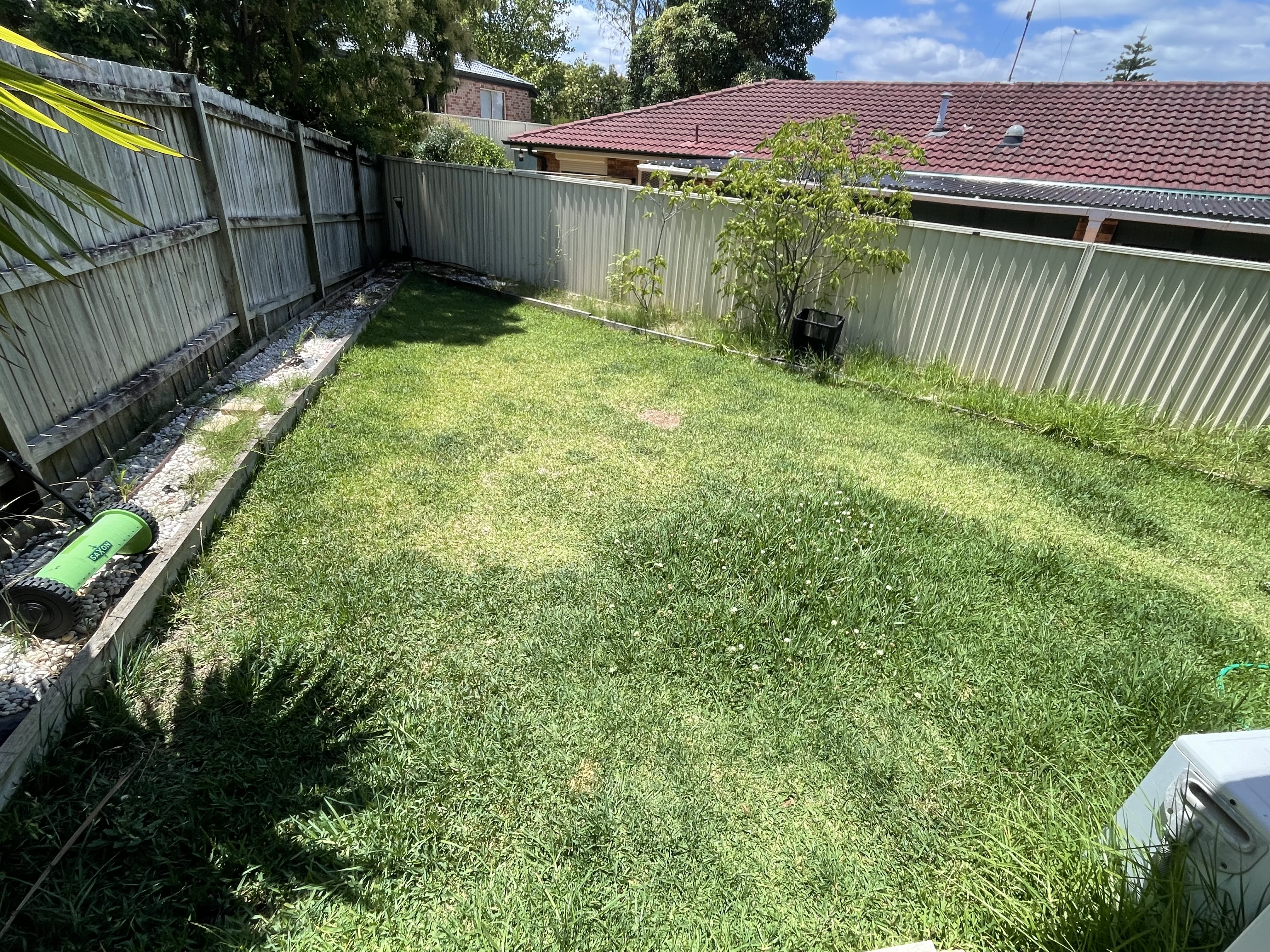 image-12