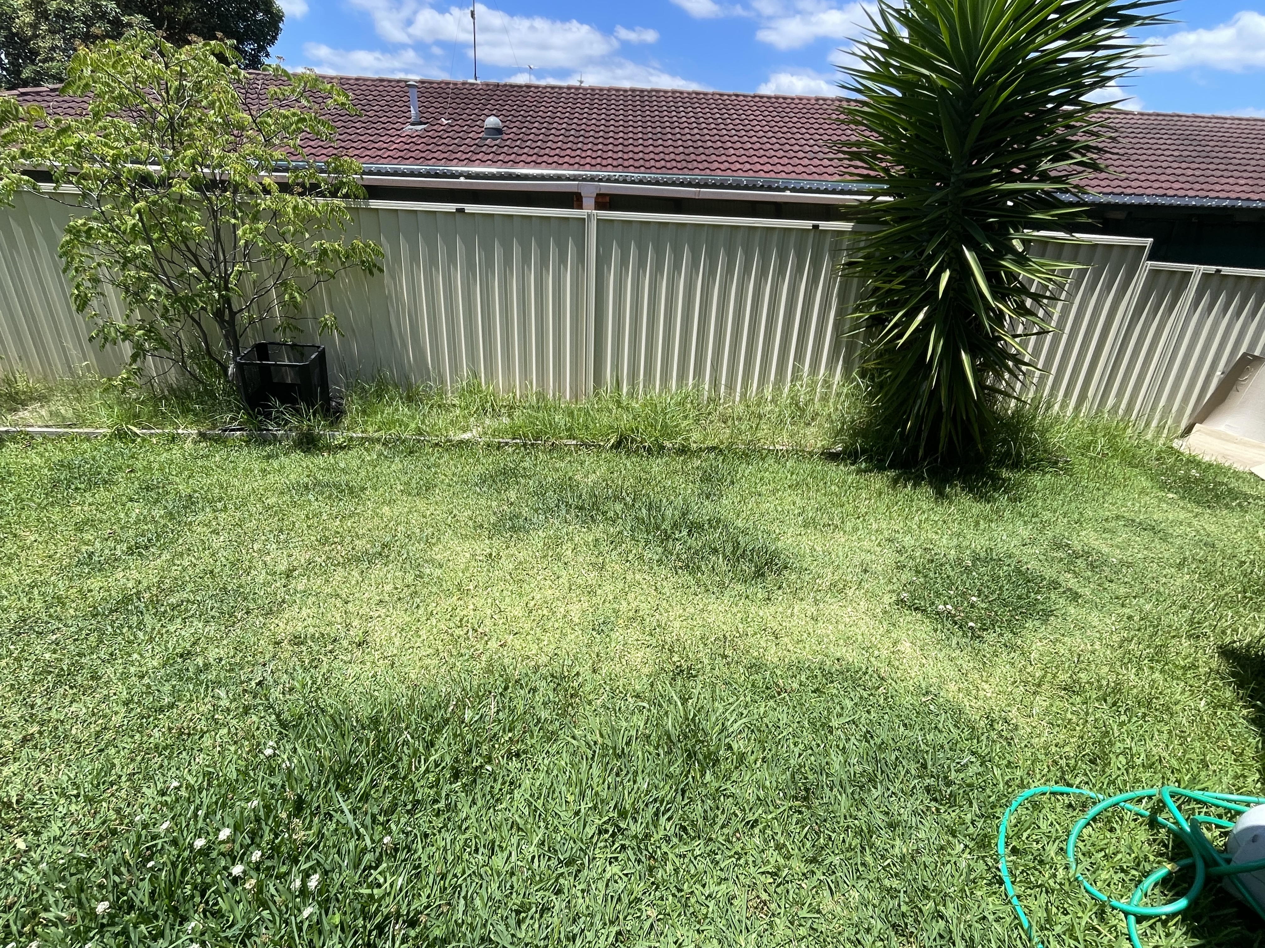 image-14