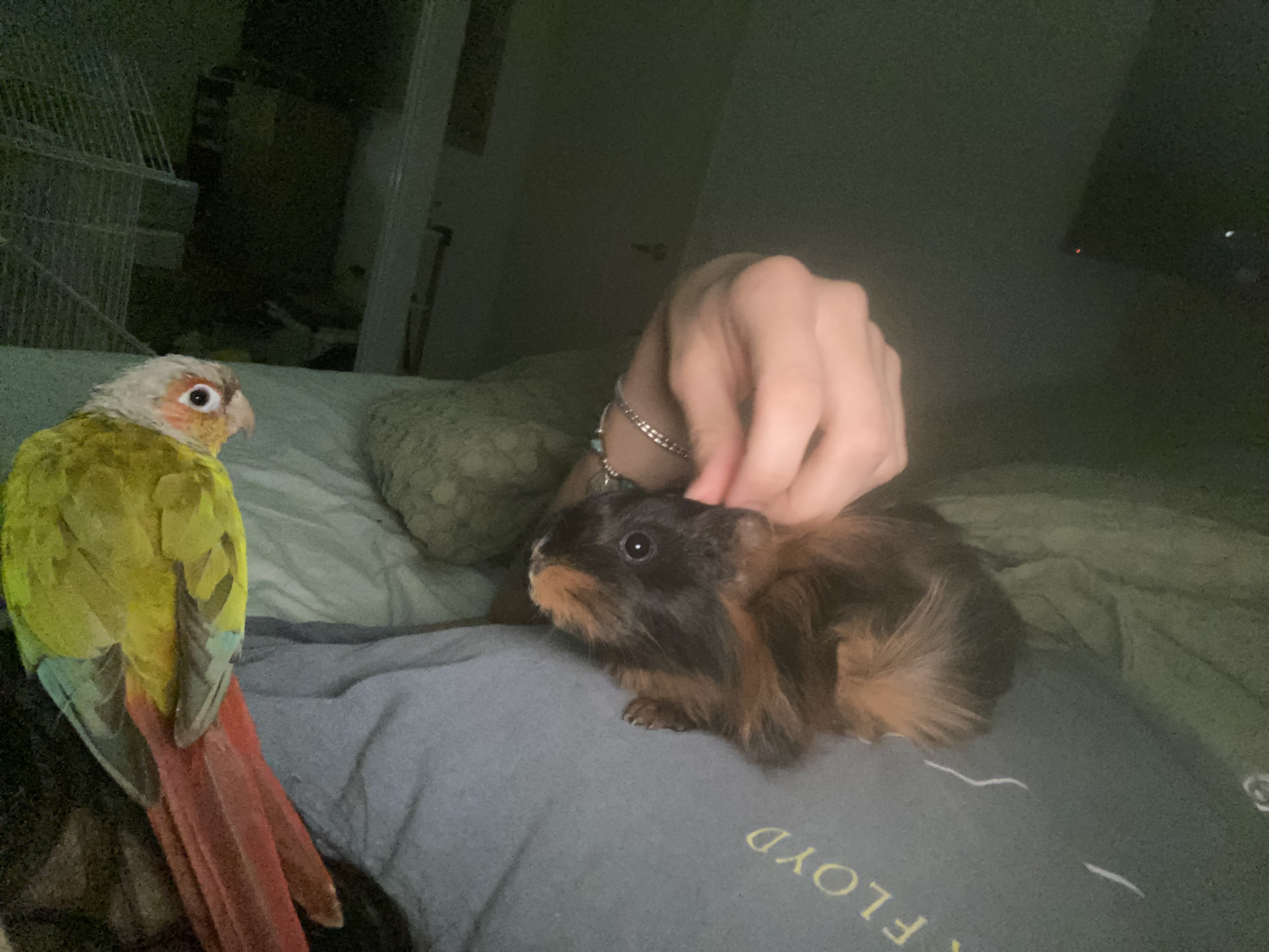 image-7