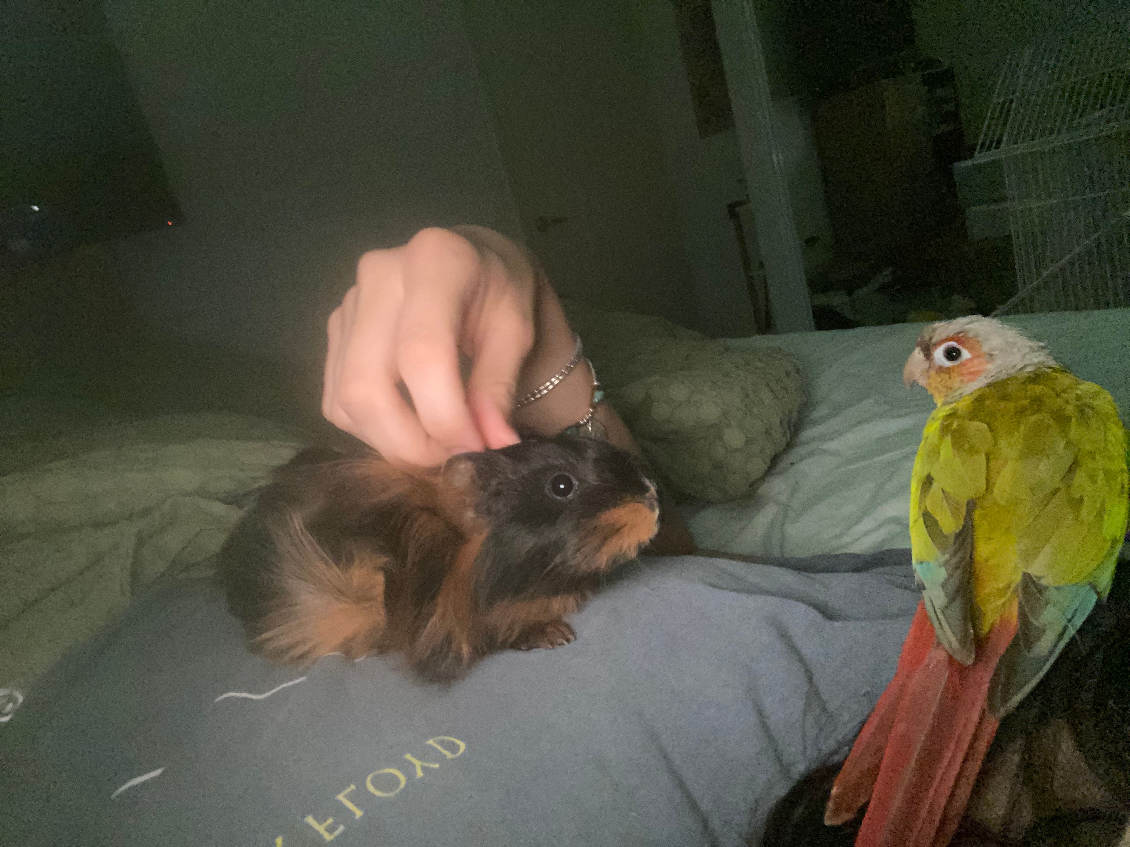 image-7