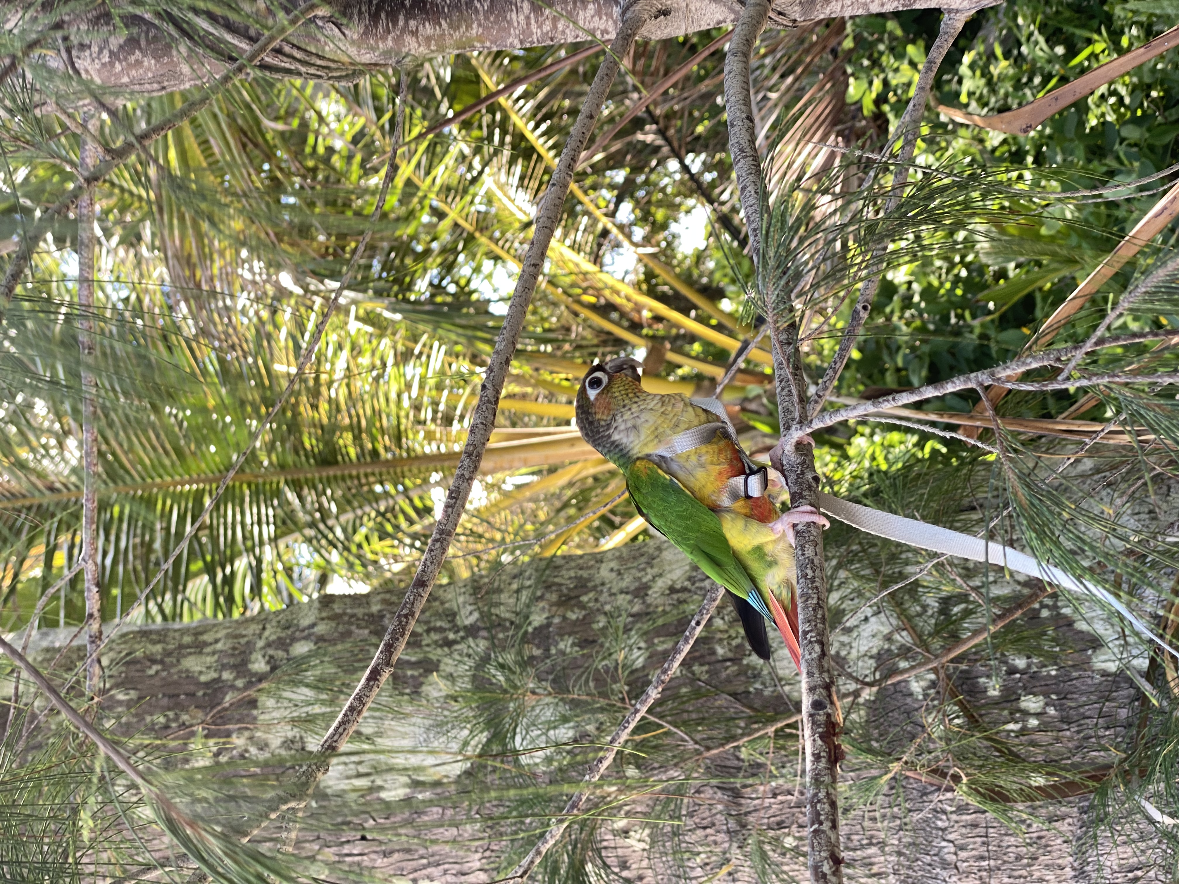 image-10