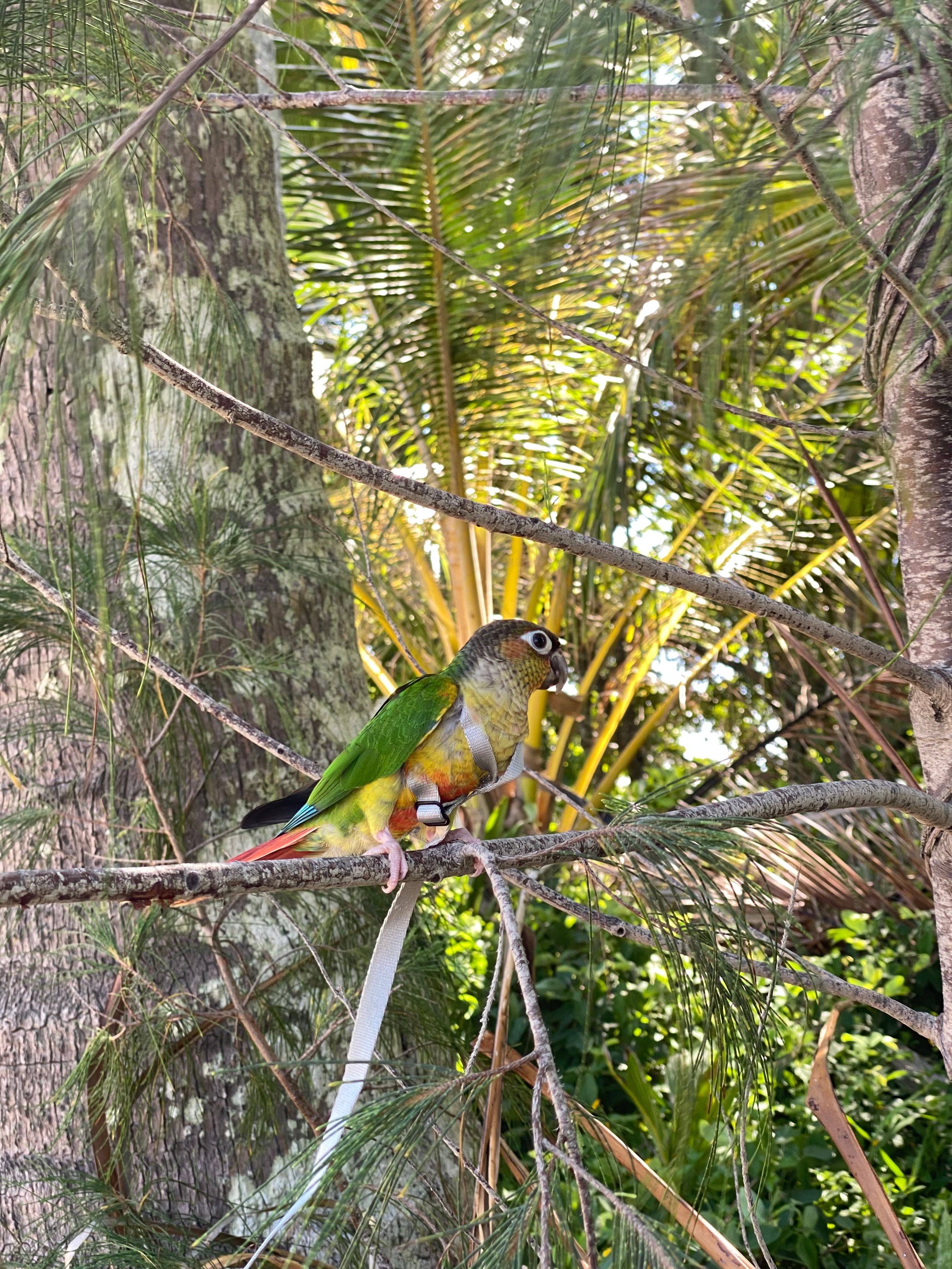 image-10