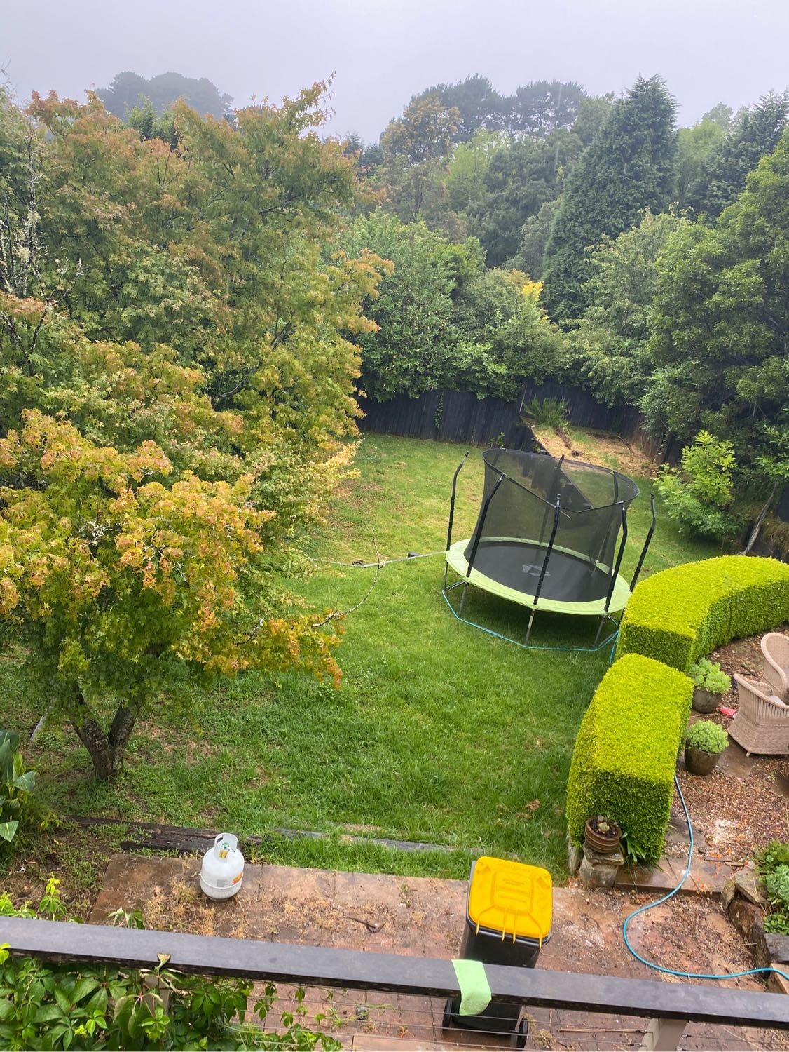 image-6