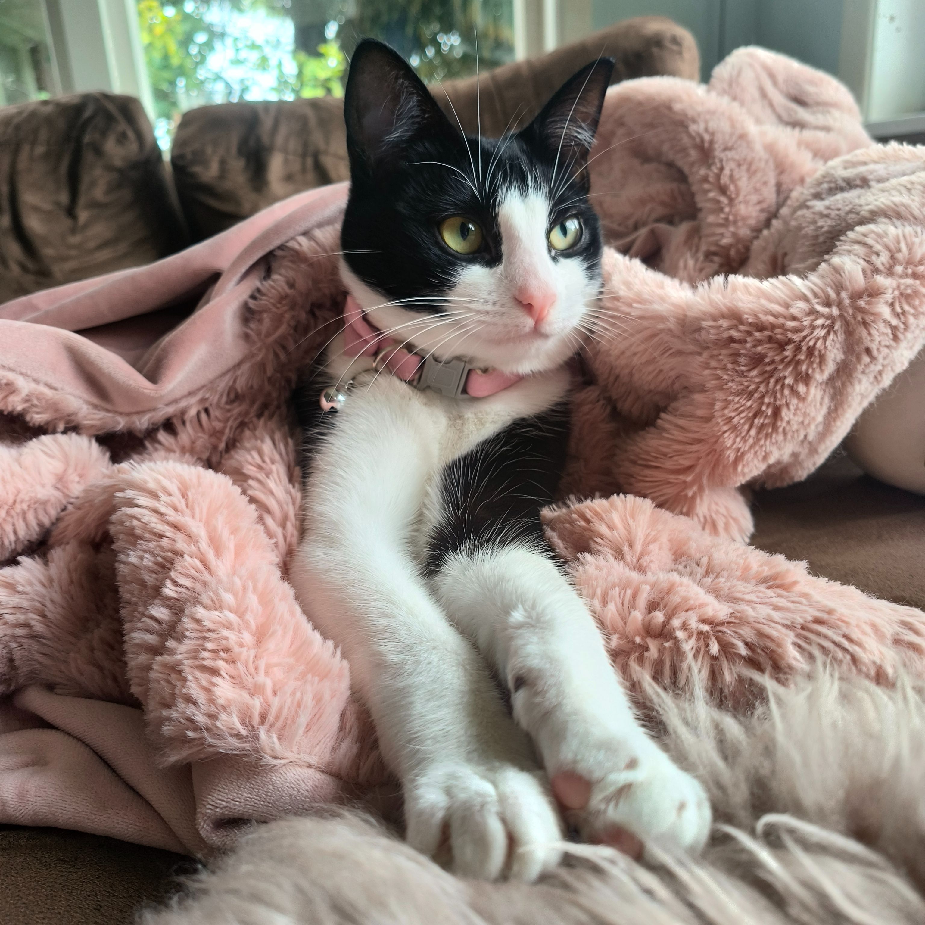 Freya