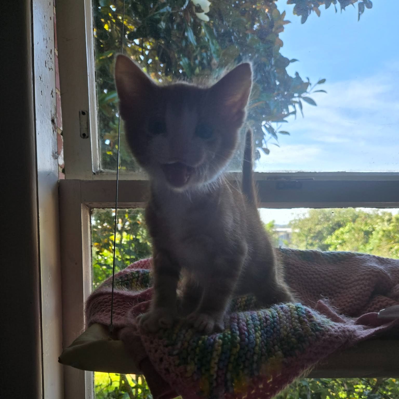 Theodore