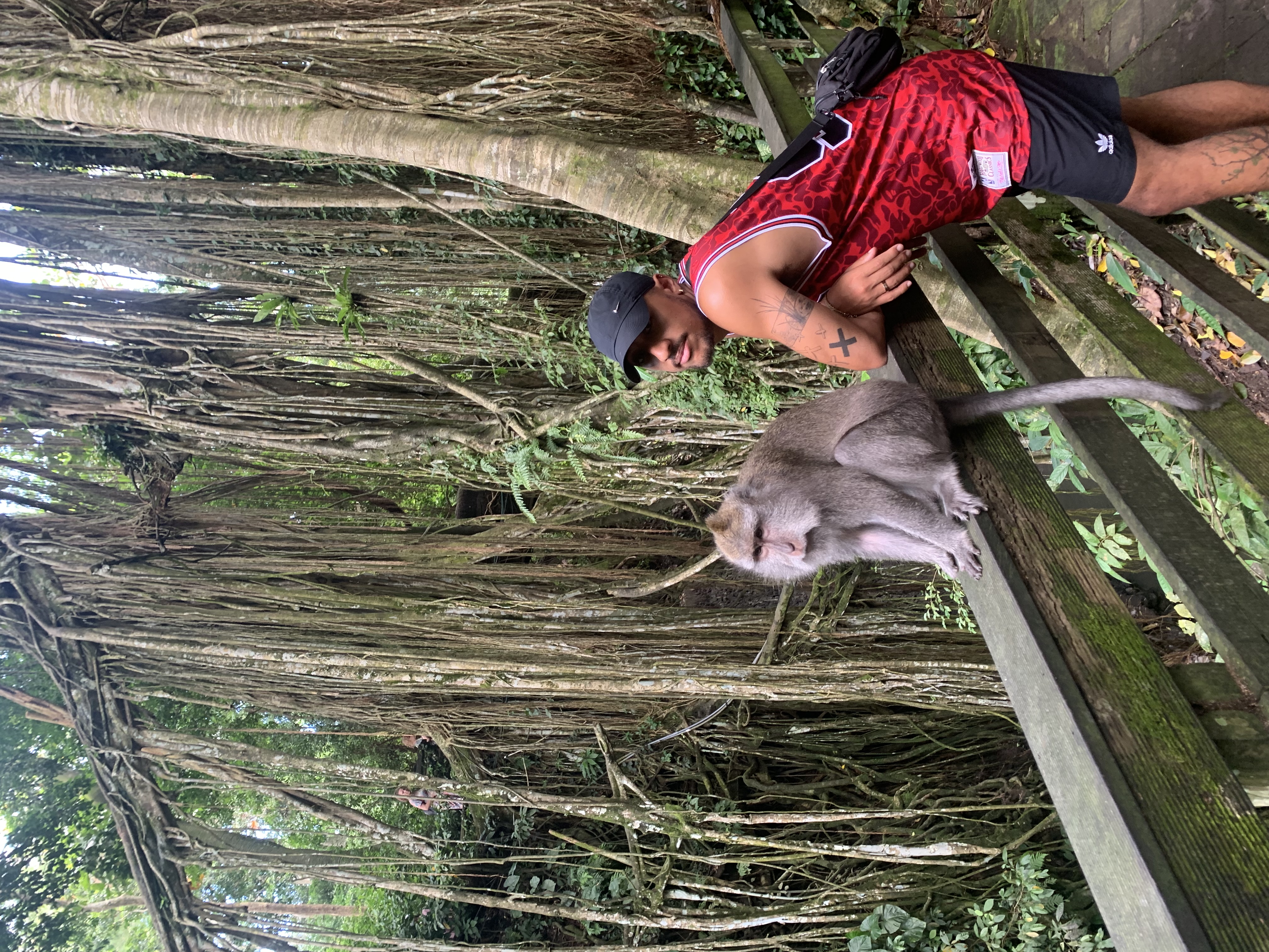 image-8