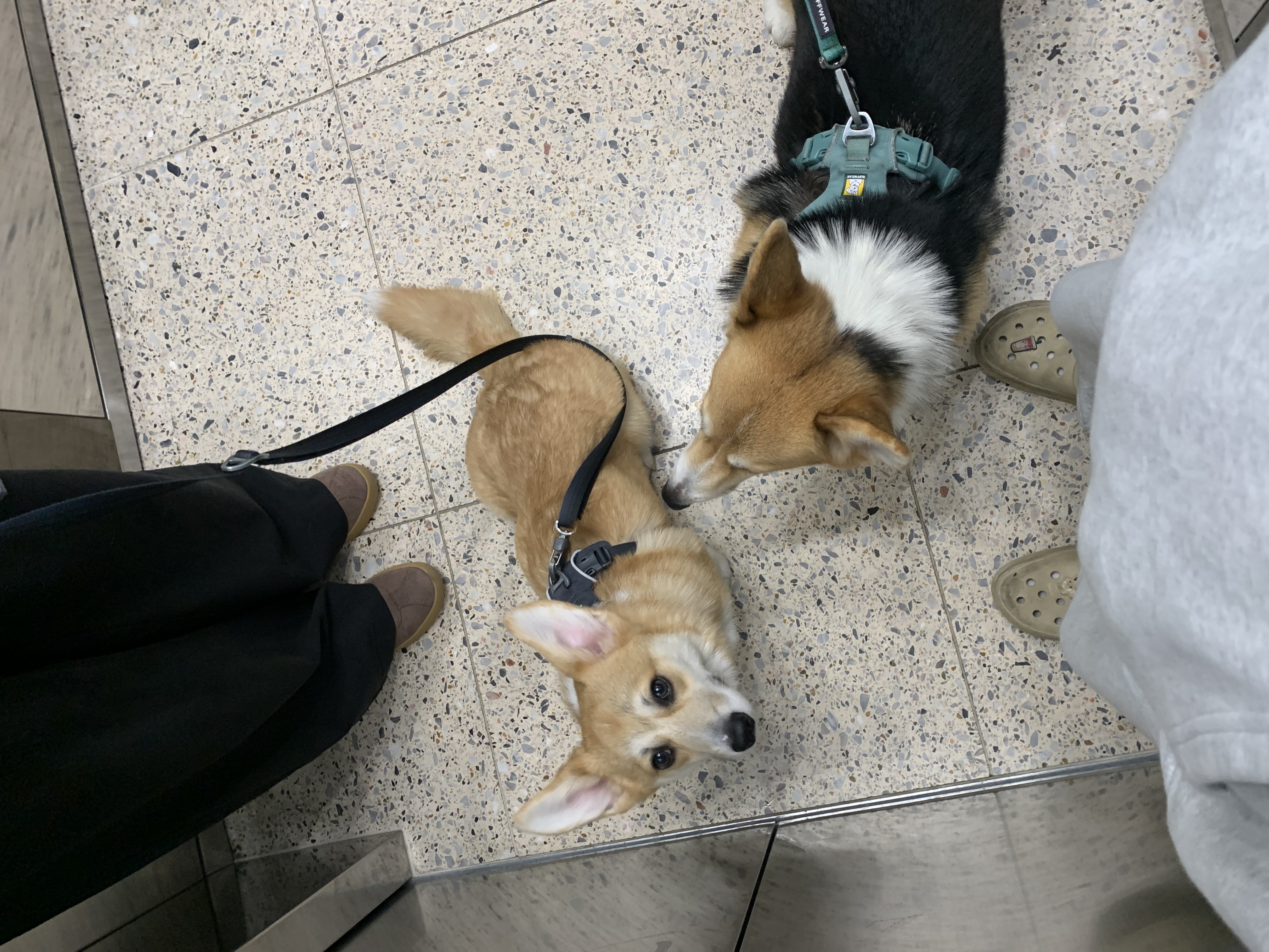 image-15
