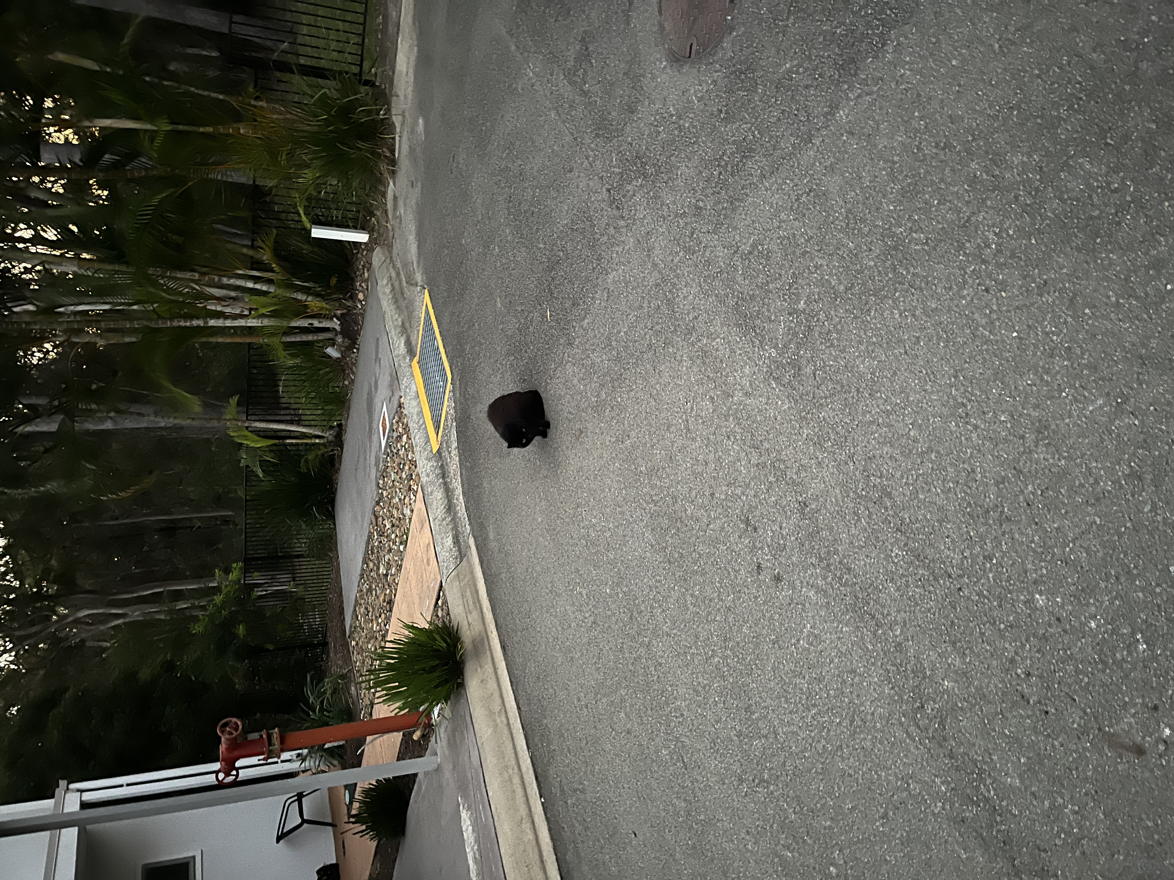 image-13