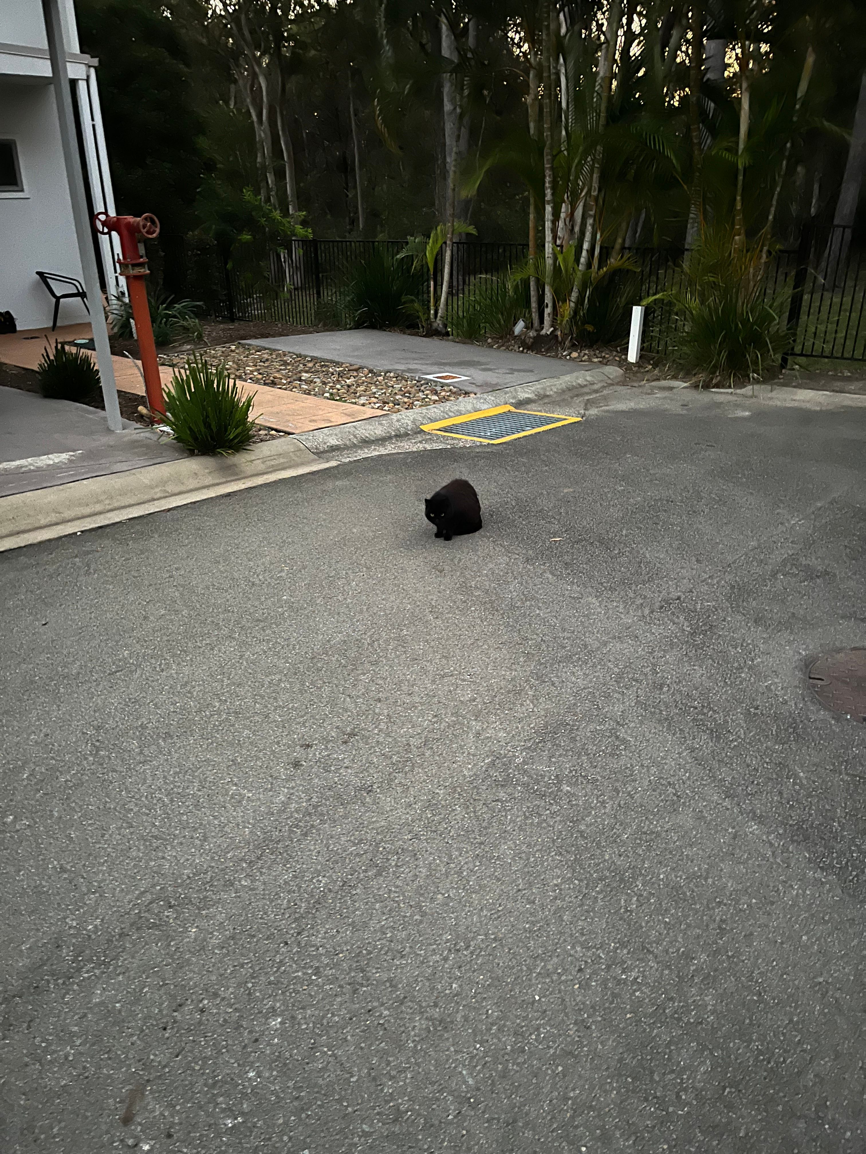 image-13