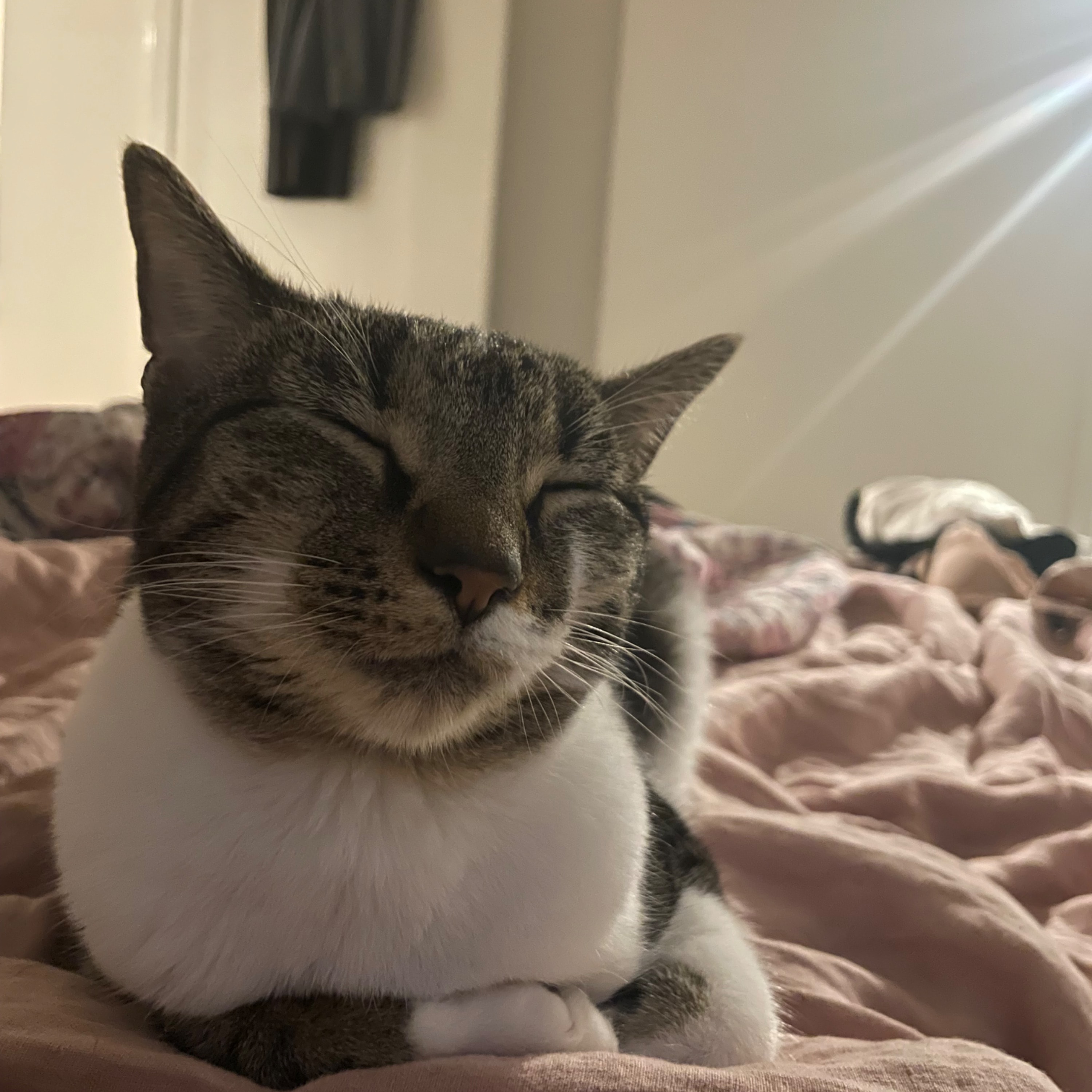 Charlie