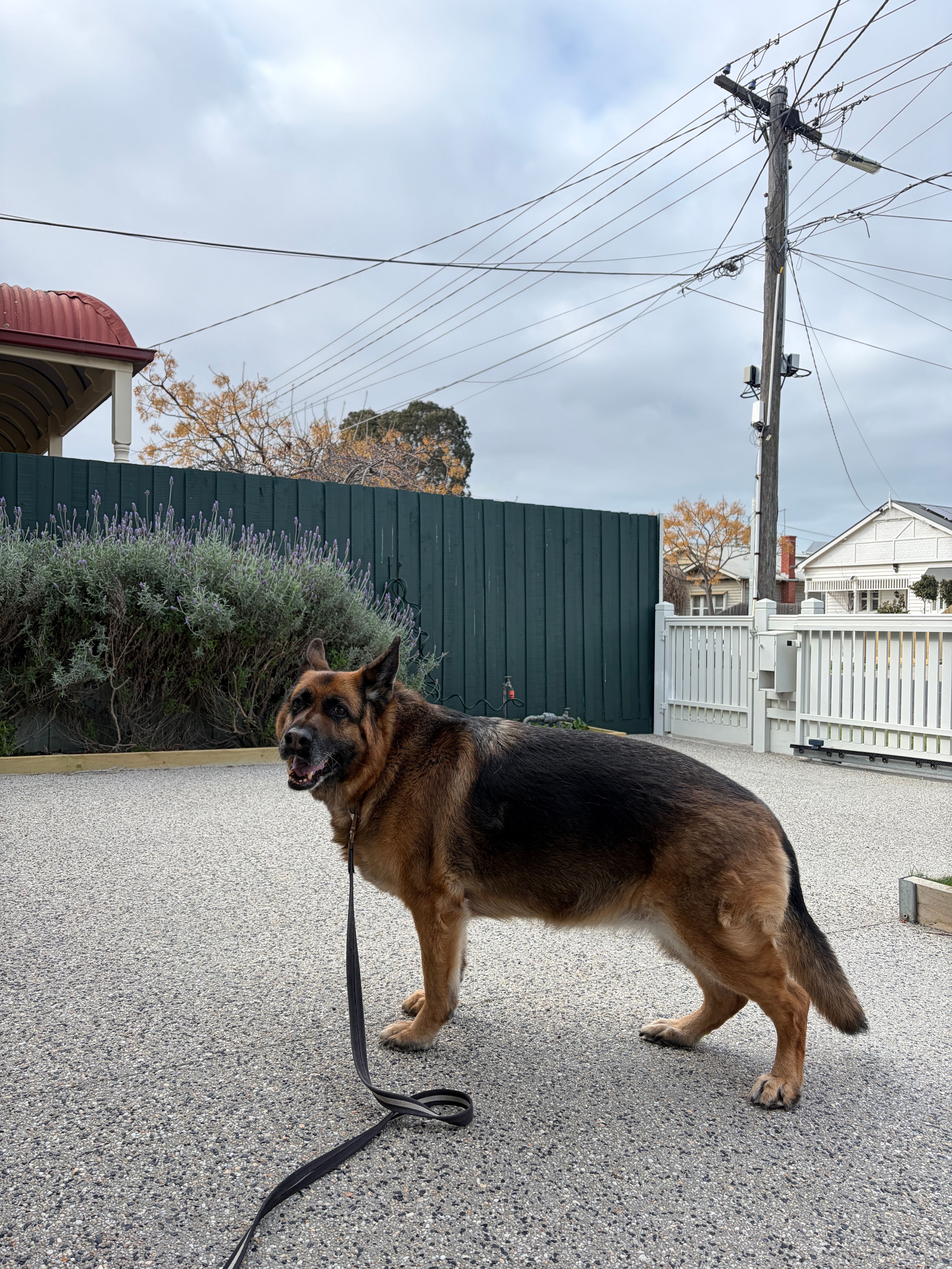 image-9
