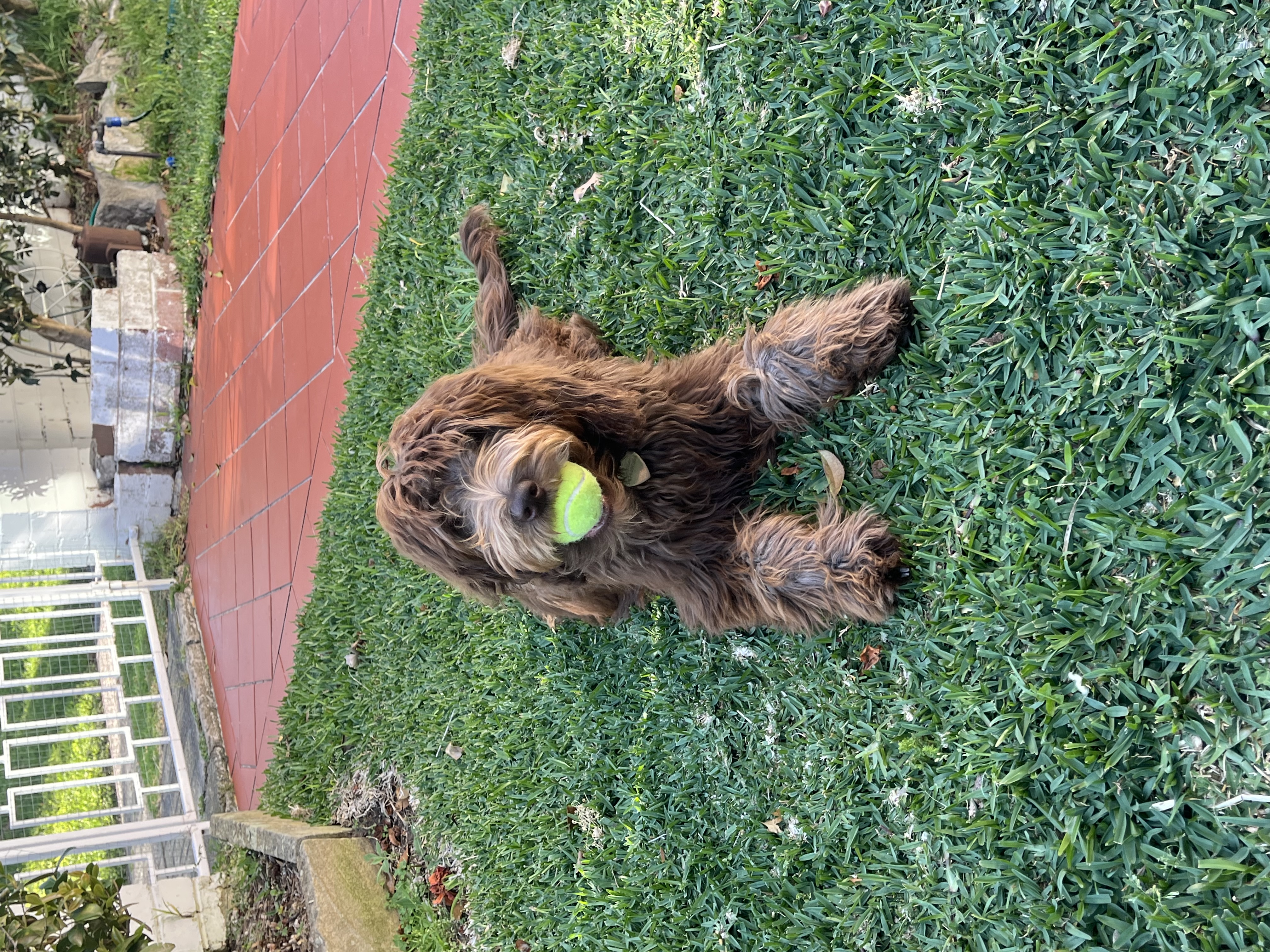 image-8