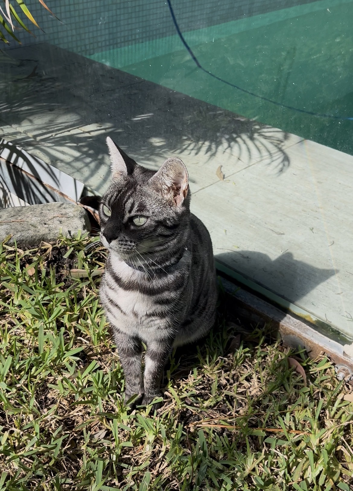 image-7
