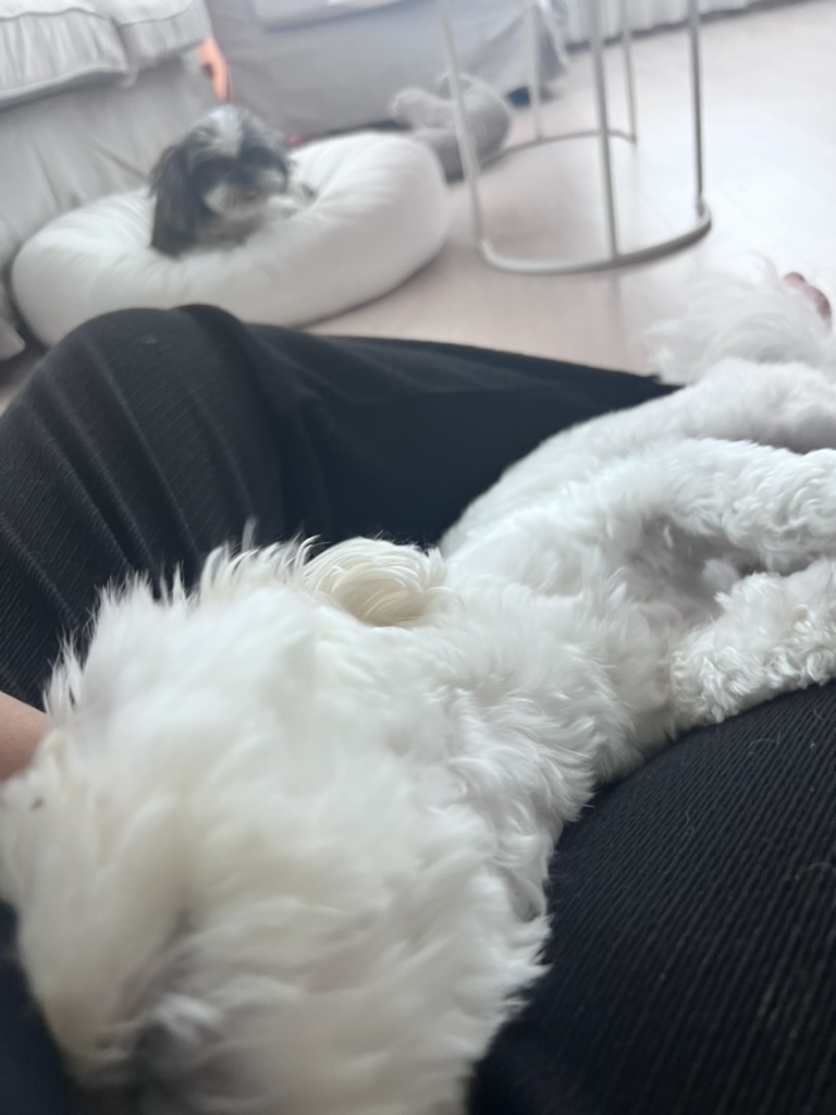 image-7