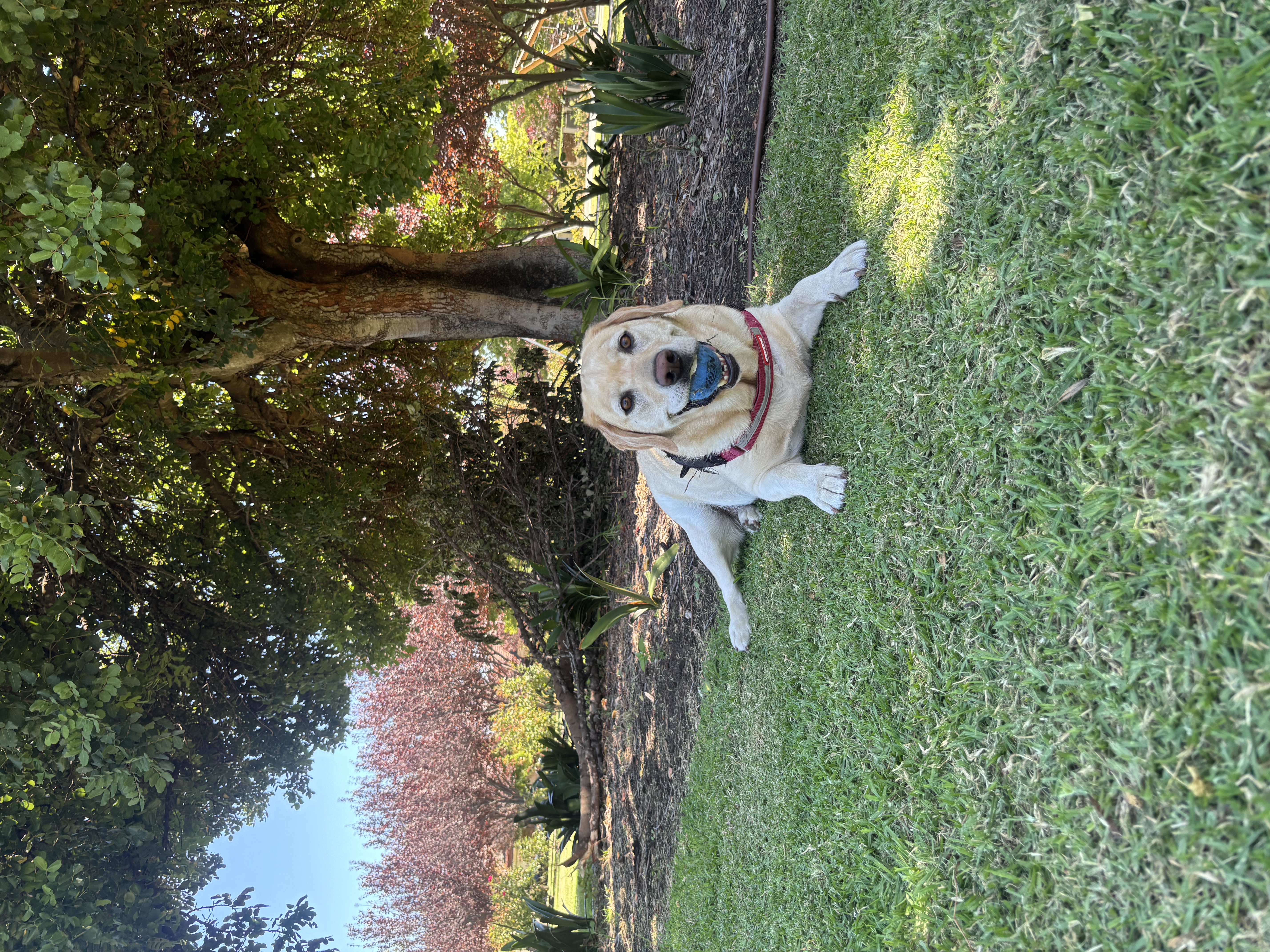image-2