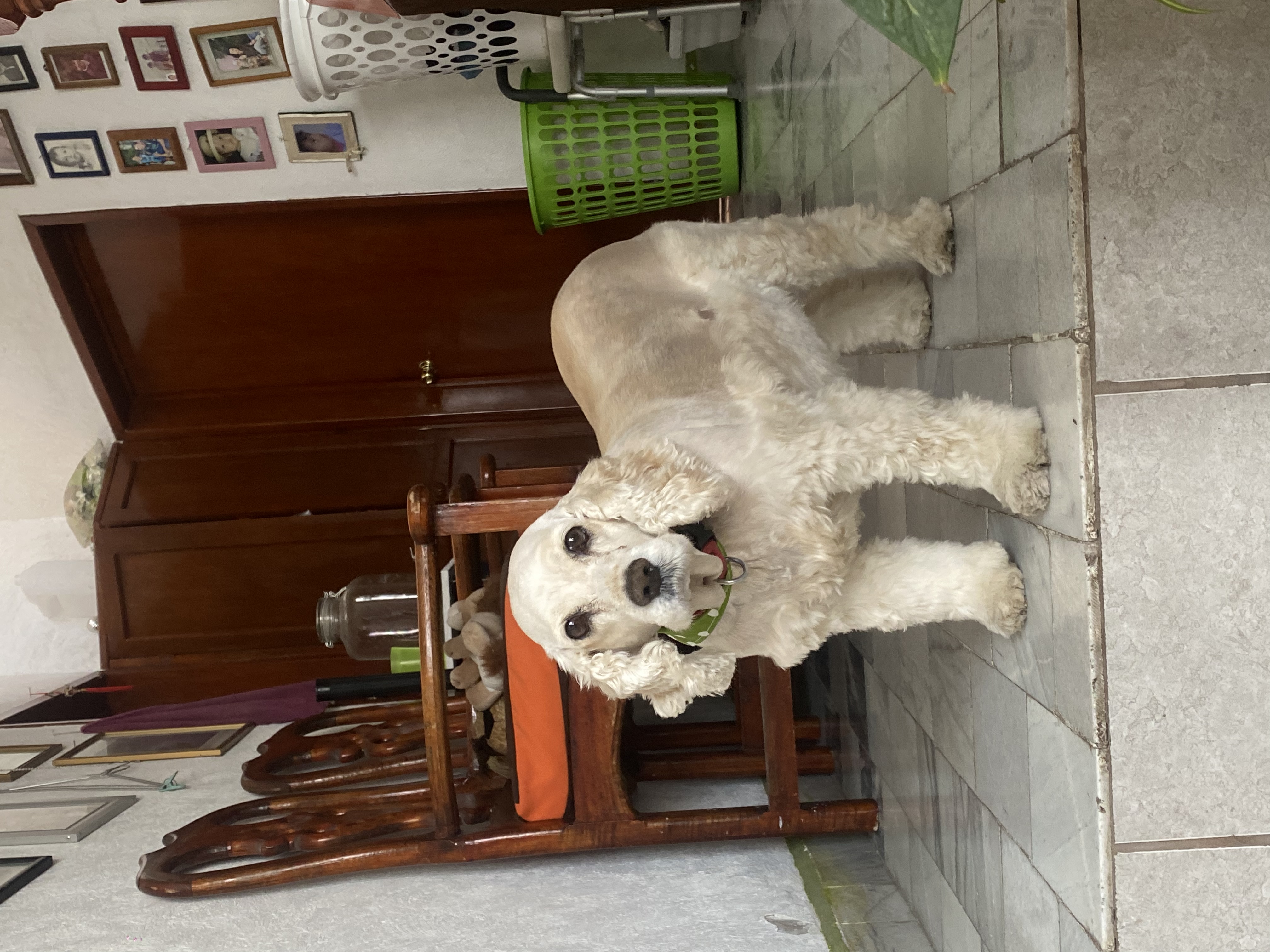 image-5