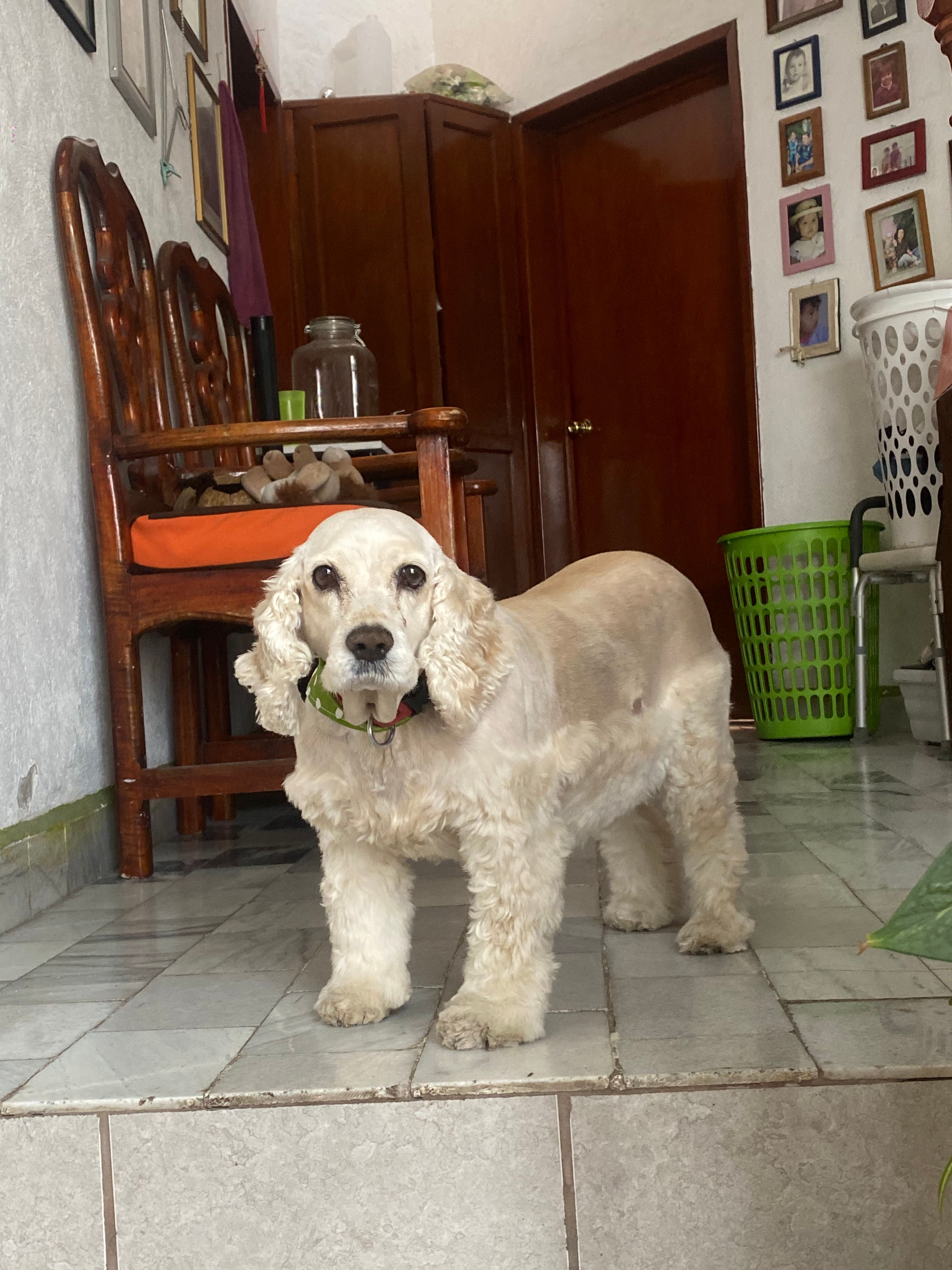 image-5