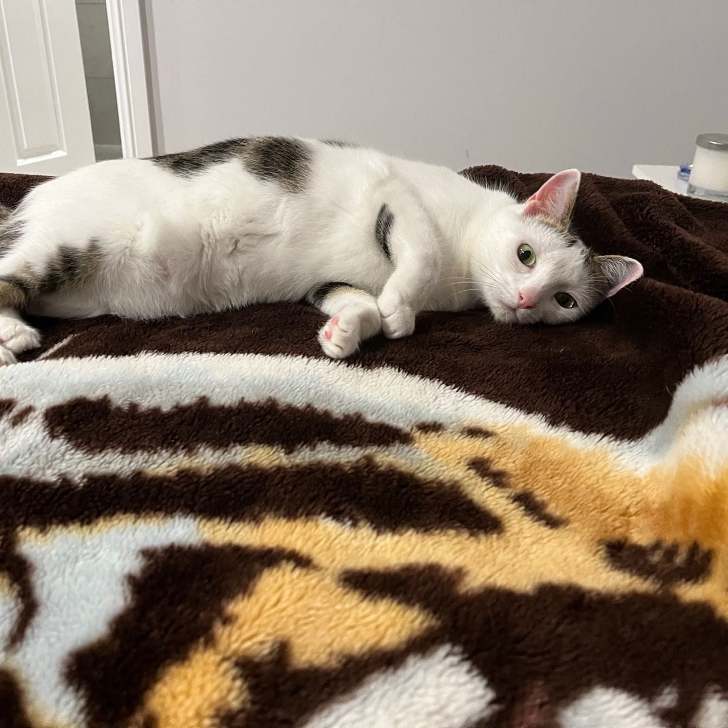 Lulu