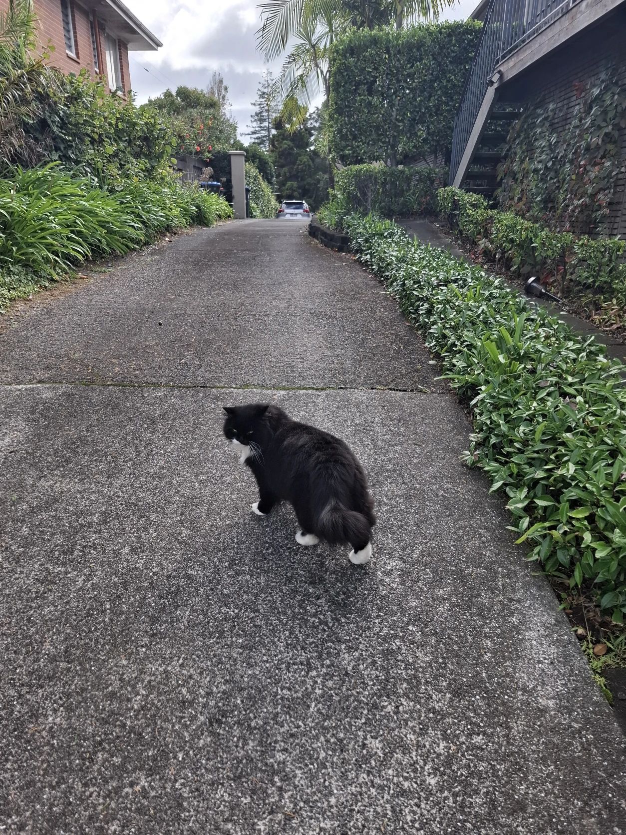 image-13