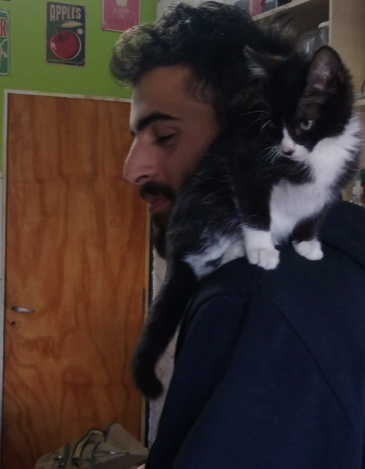 image-8