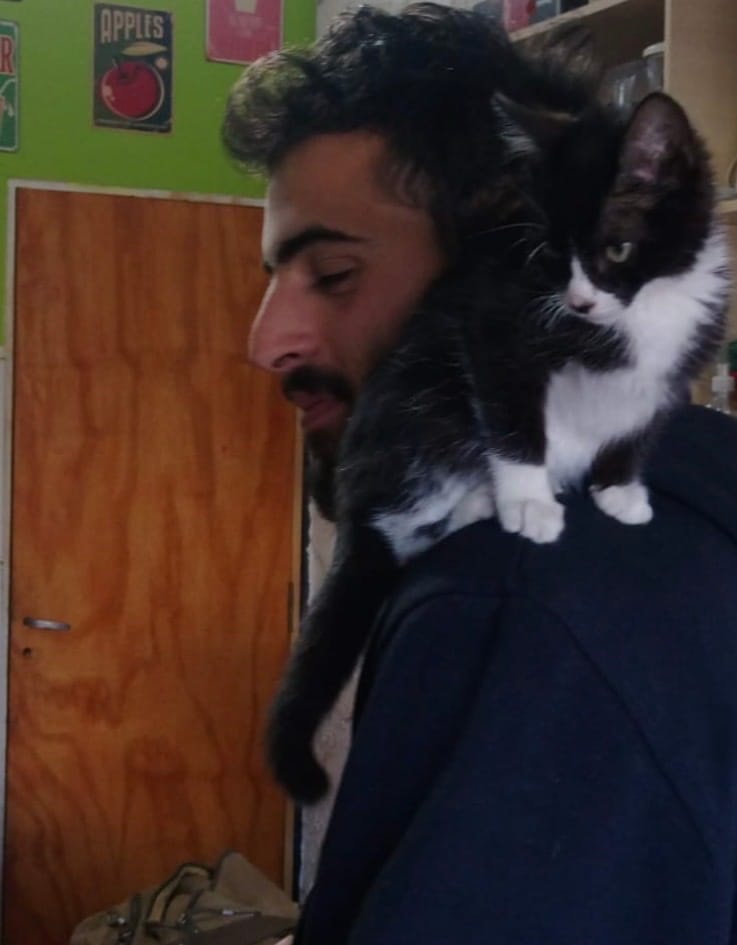 image-8