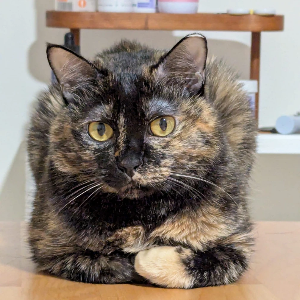 Kiki