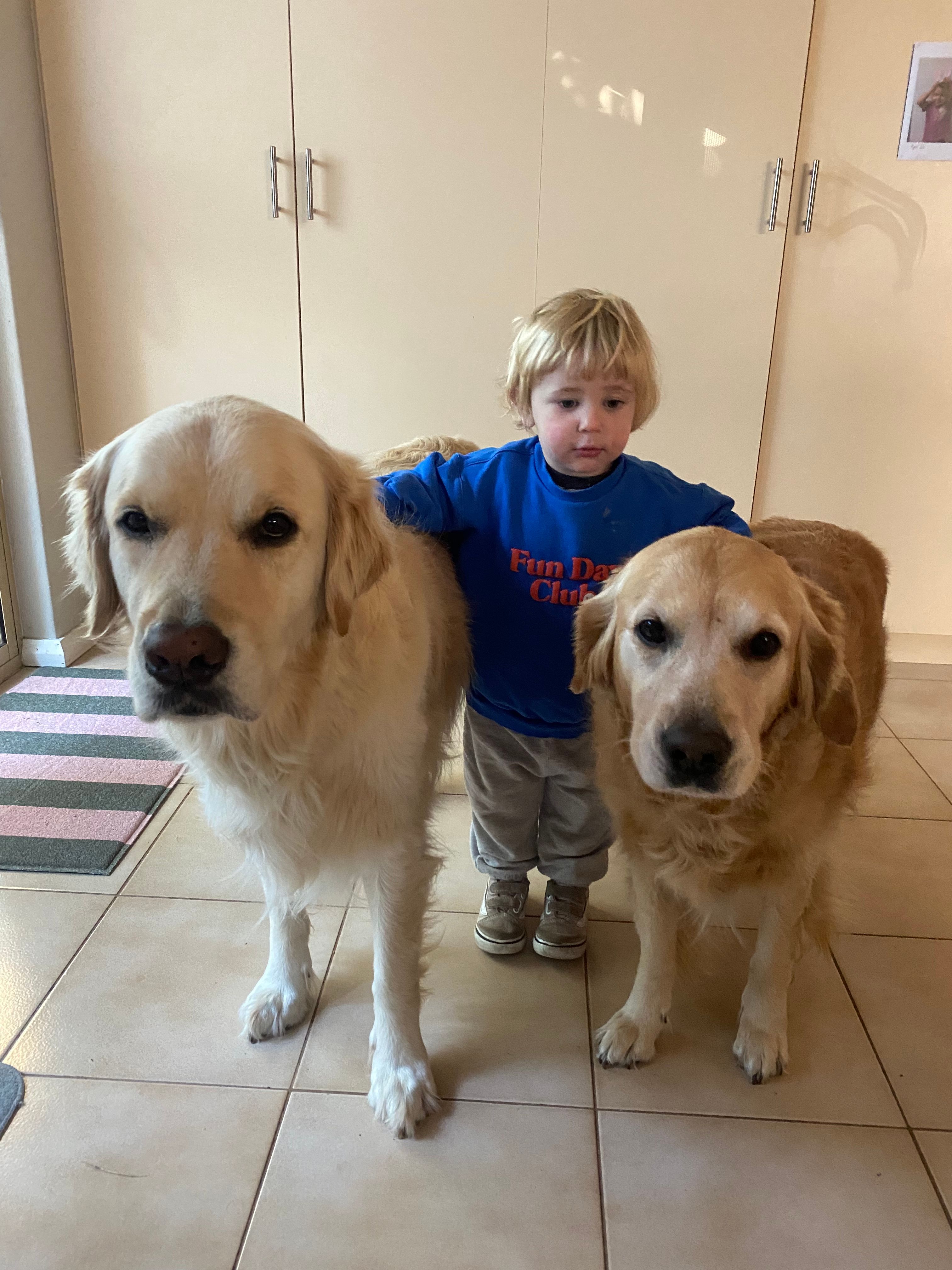 image-18