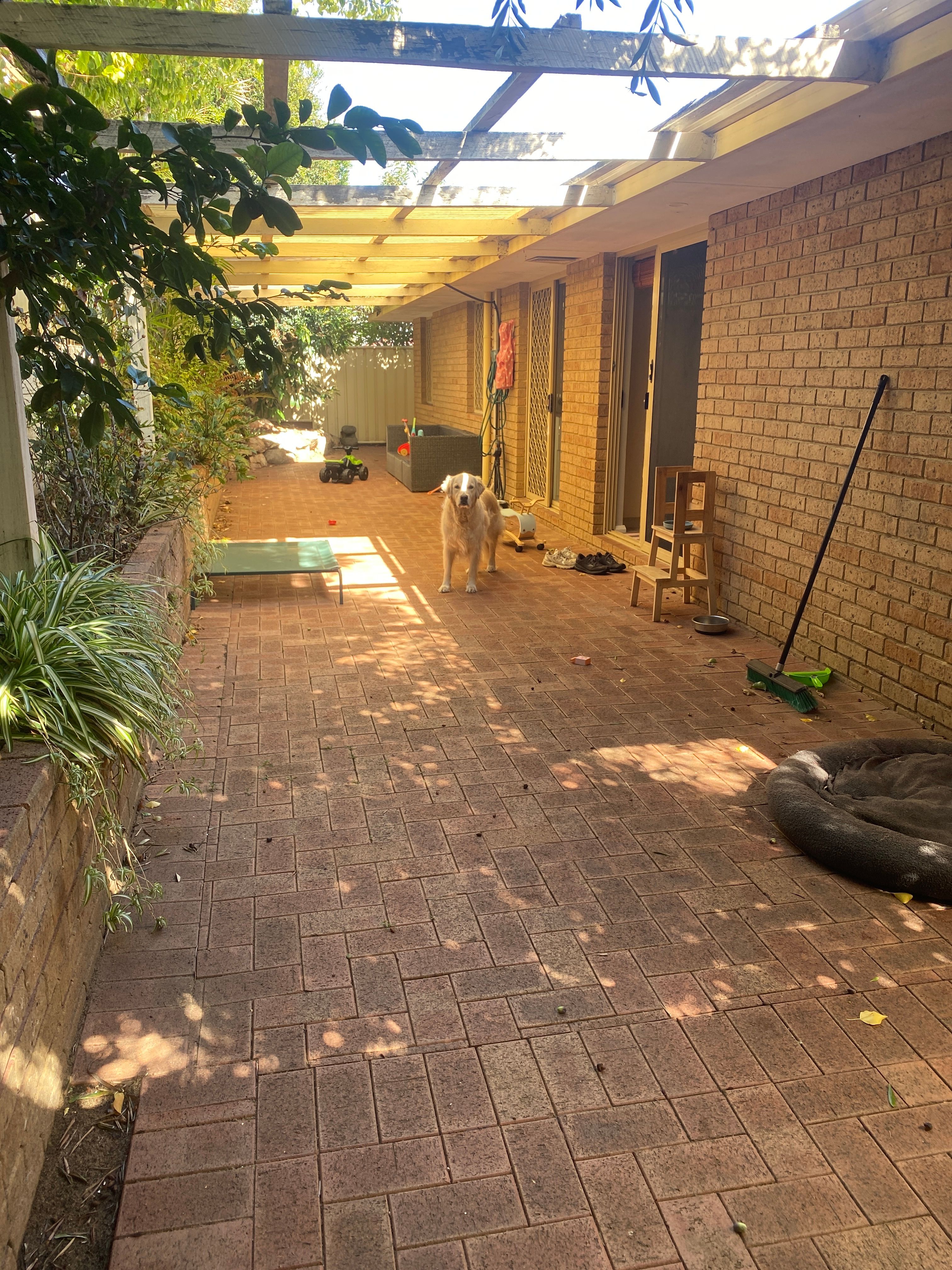 image-20