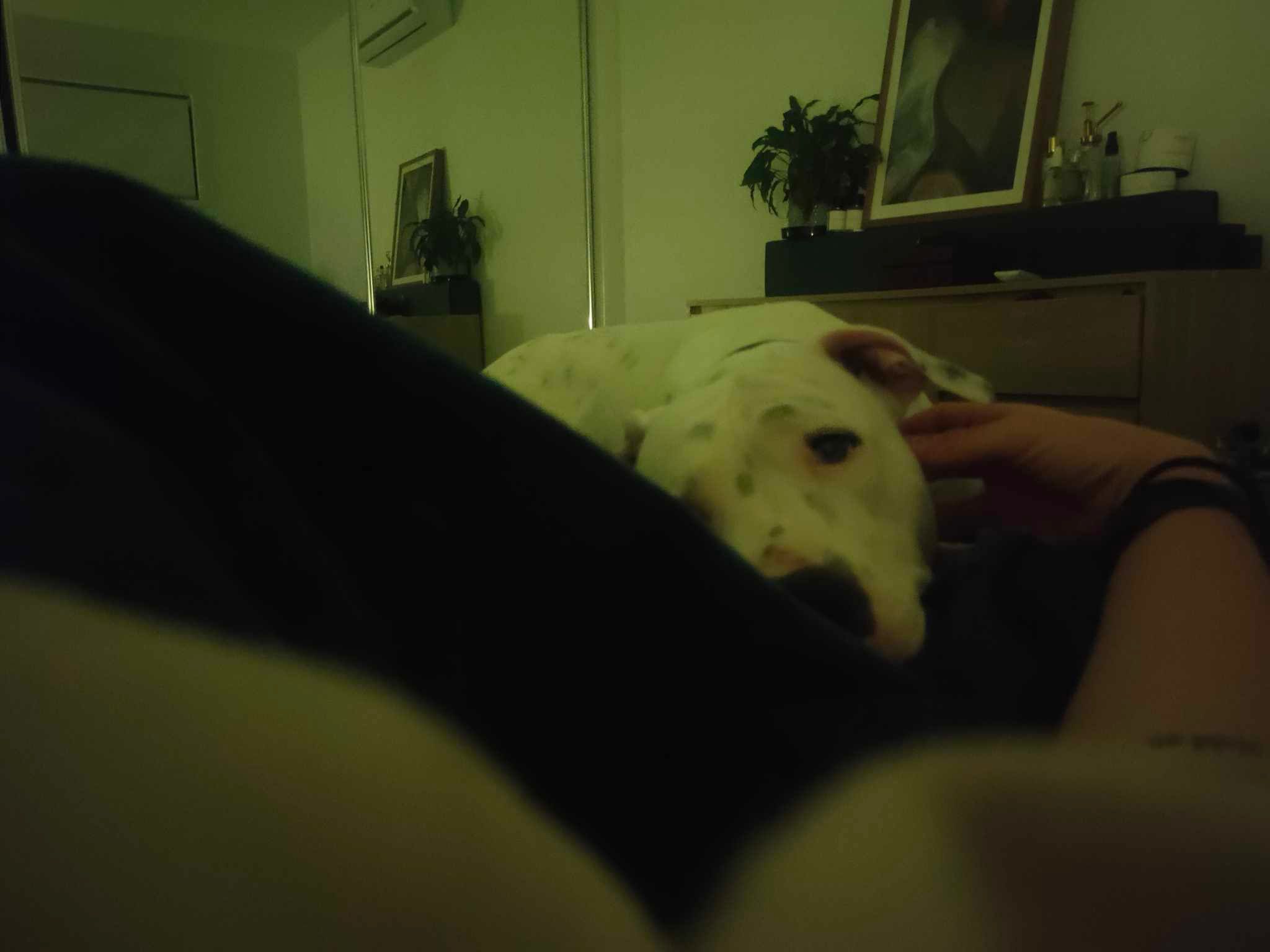 image-8