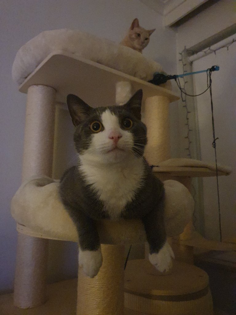 Luna