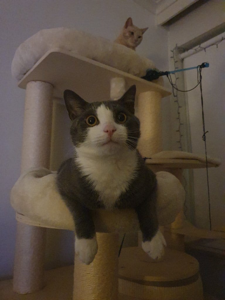 Luna