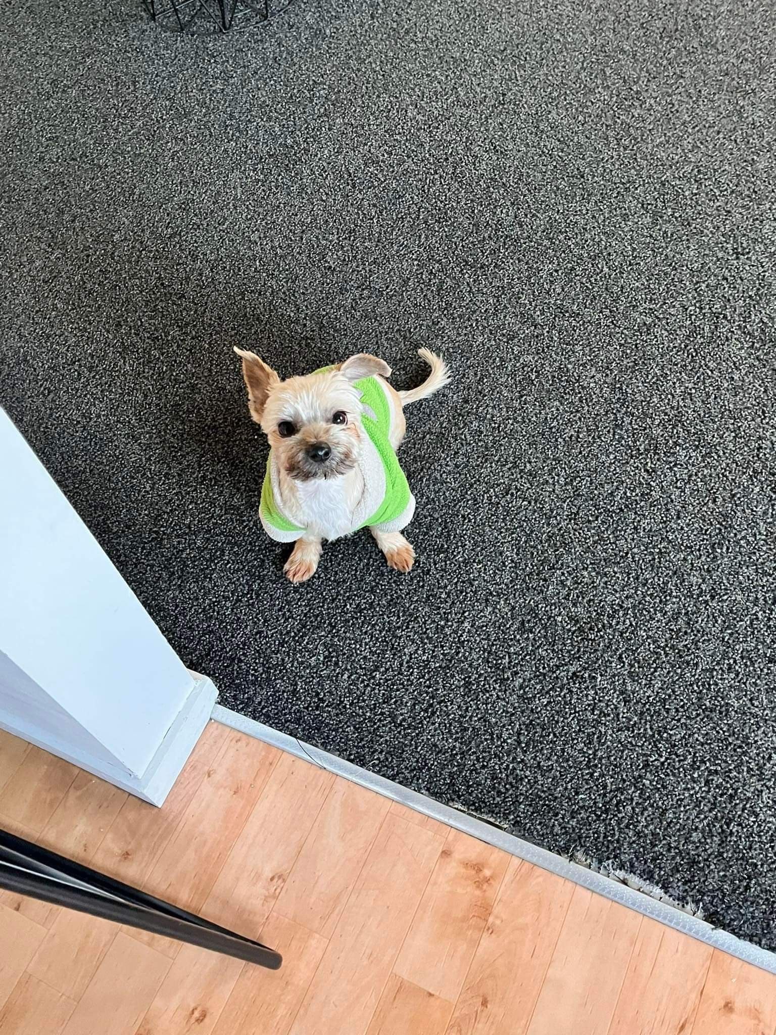 image-5