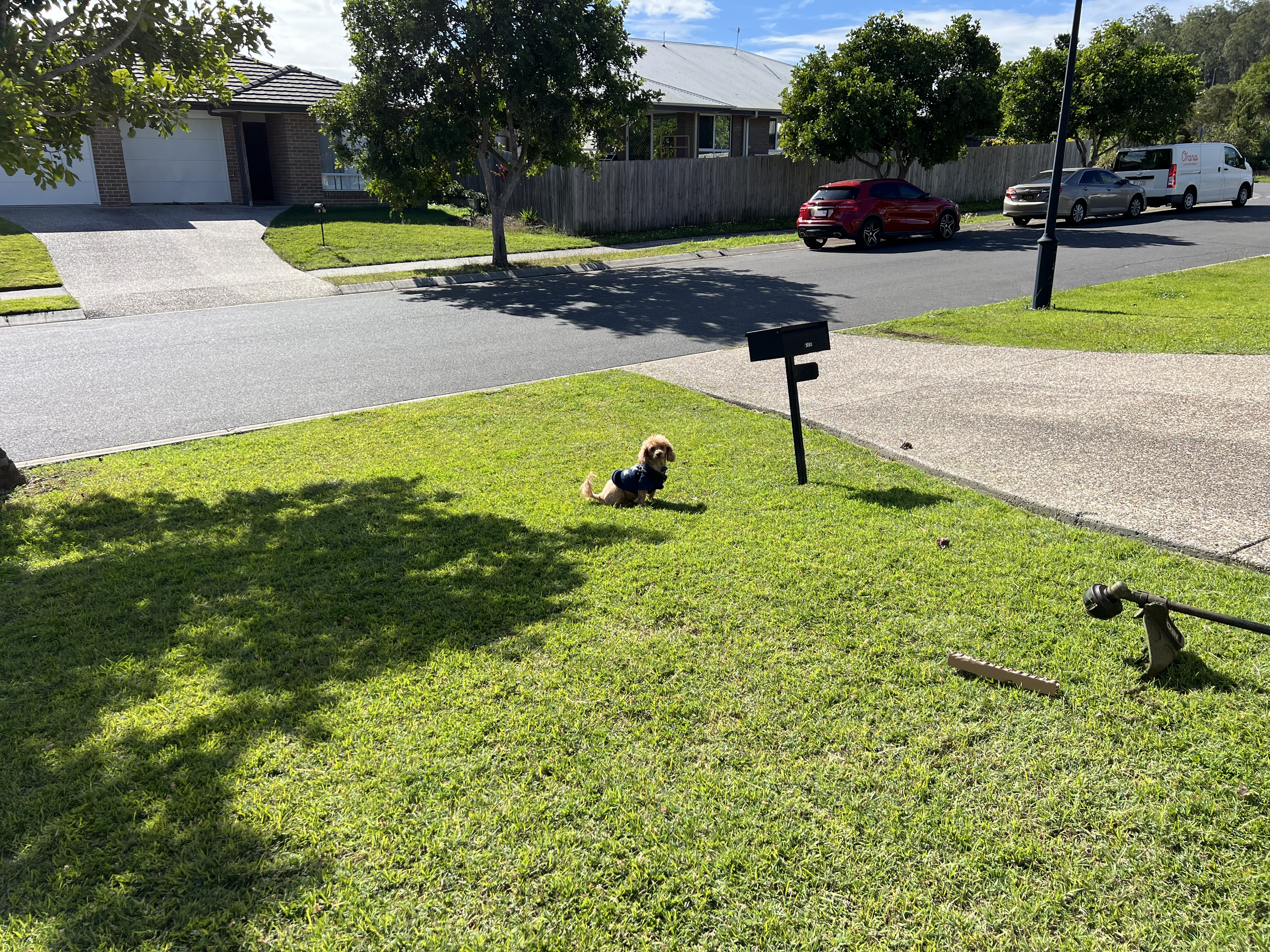 image-18