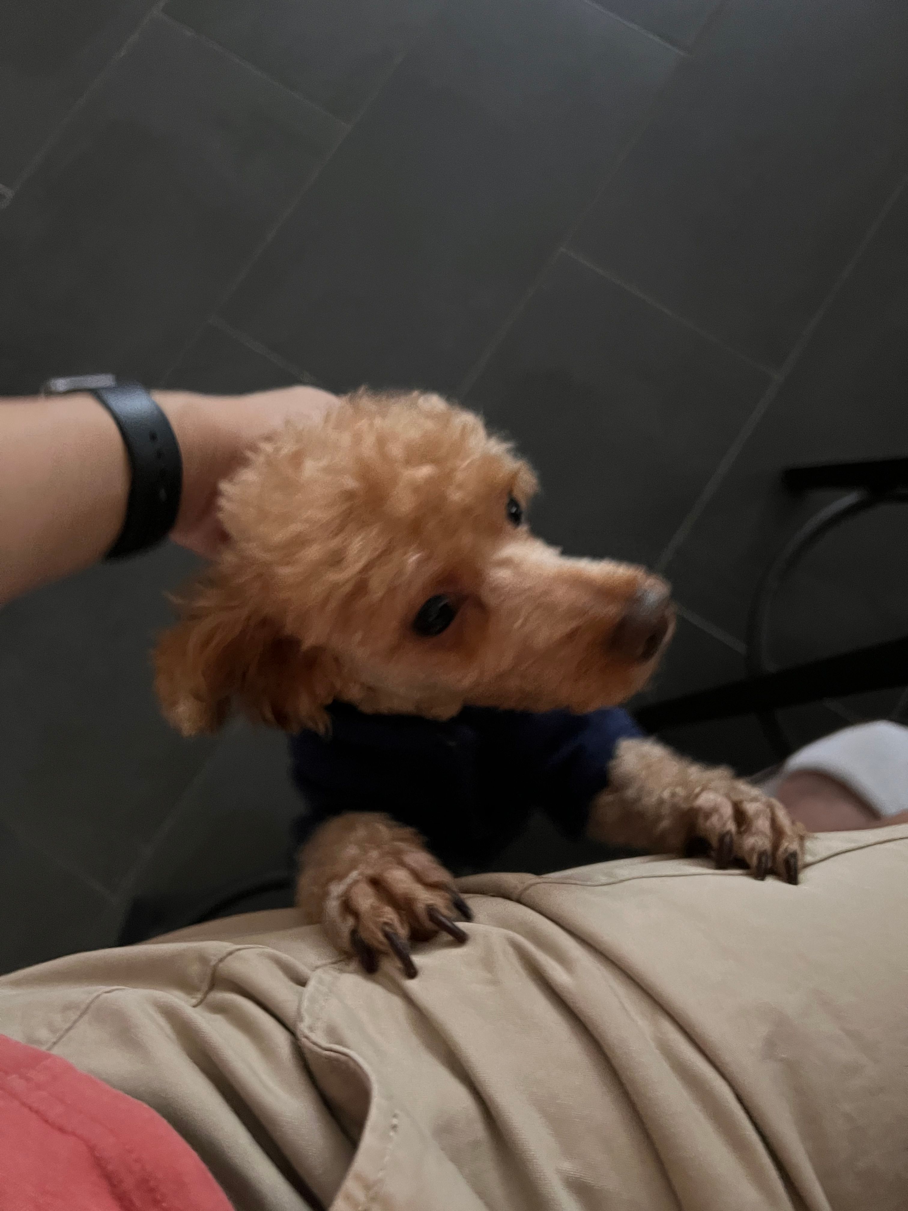 image-4