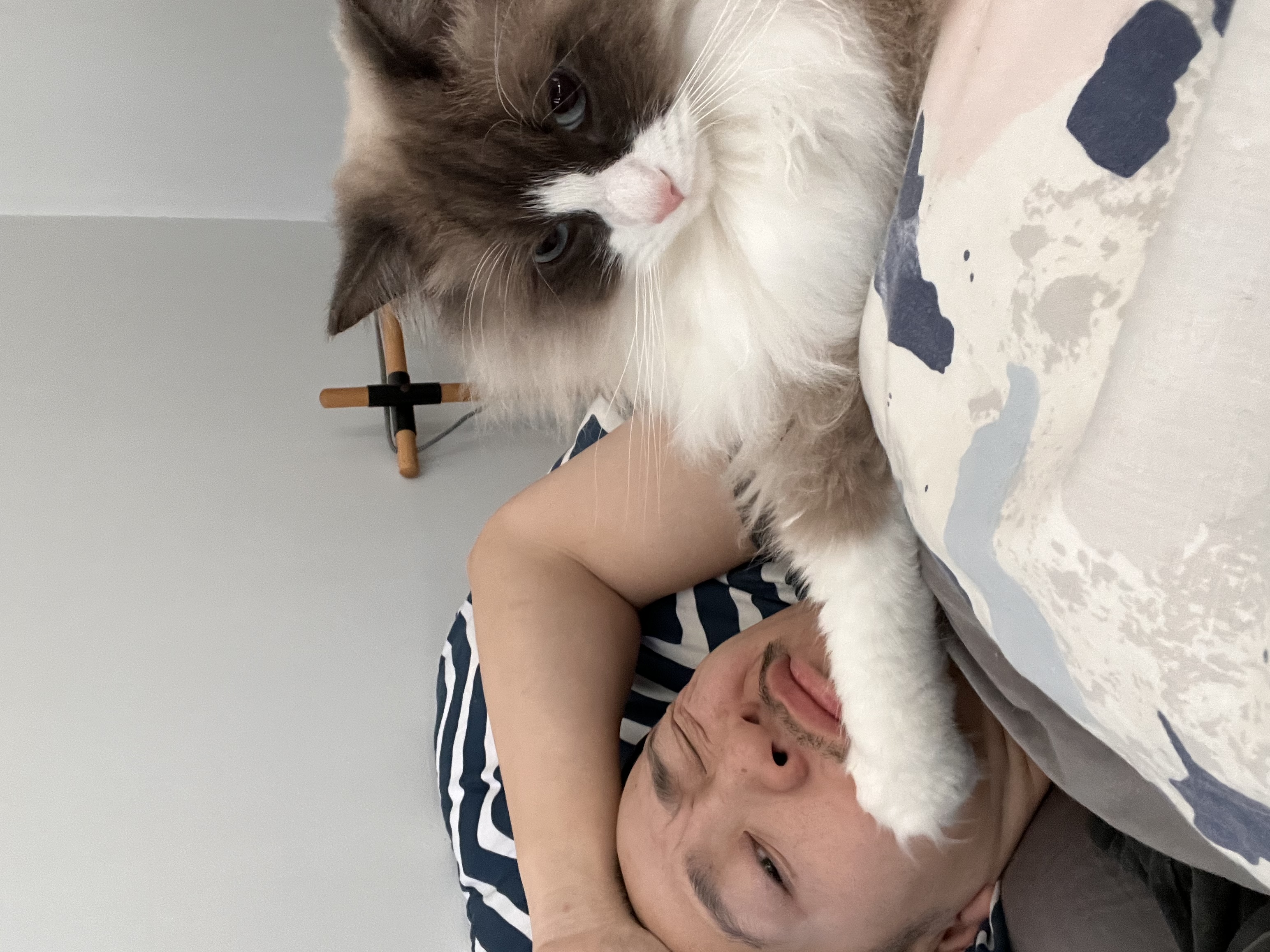 image-11
