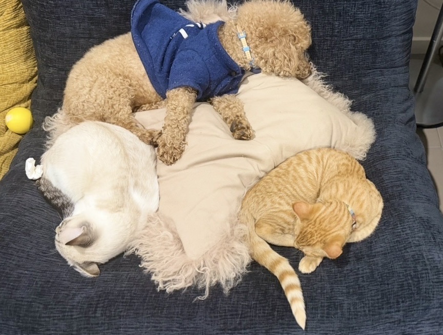 image-6