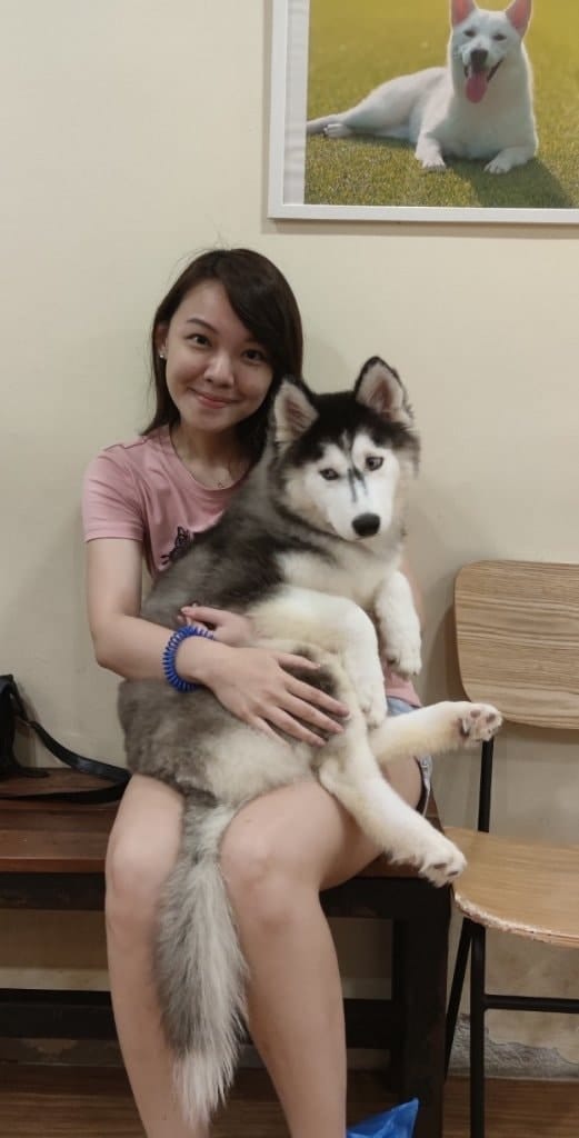 image-9