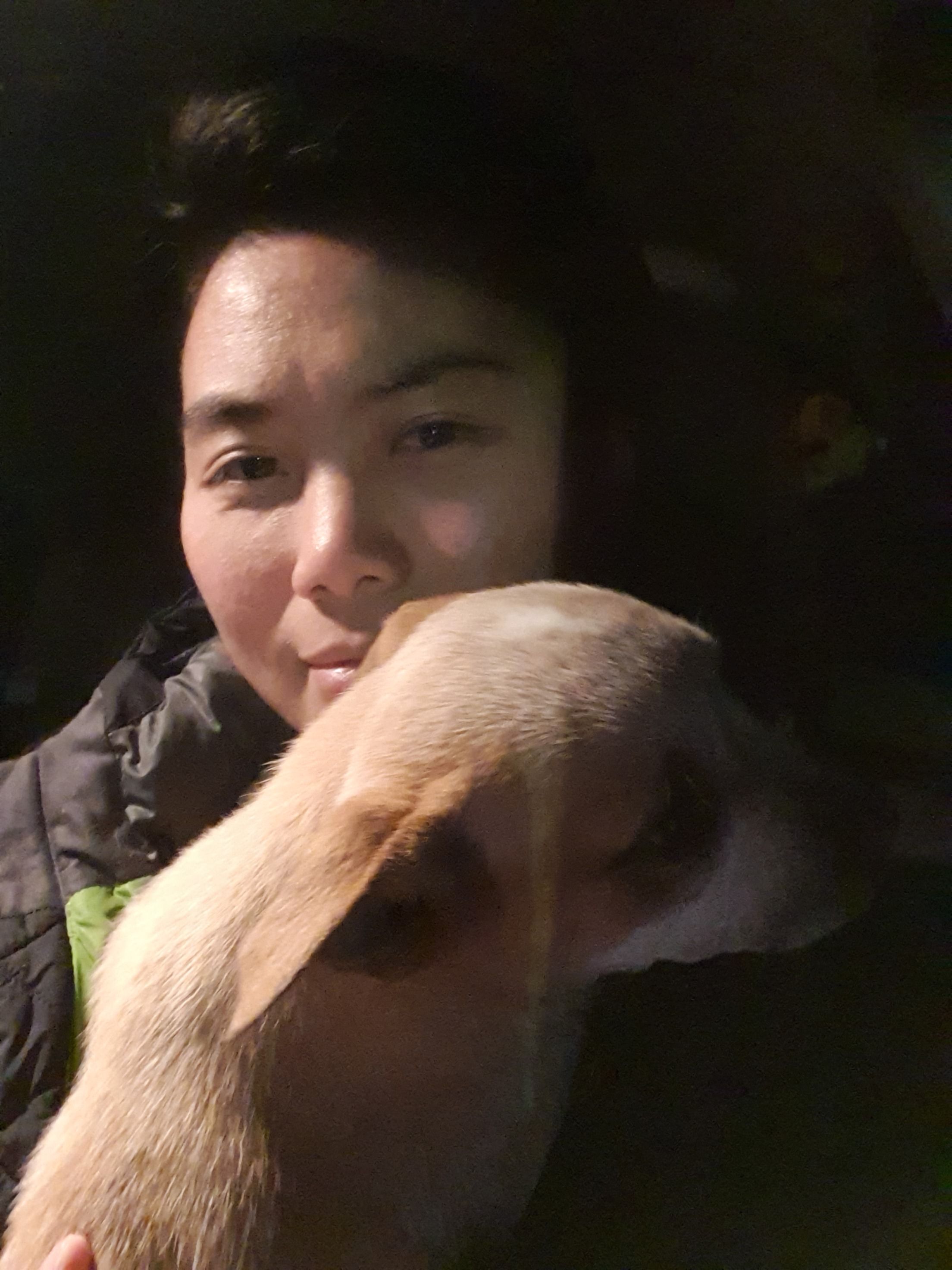image-4