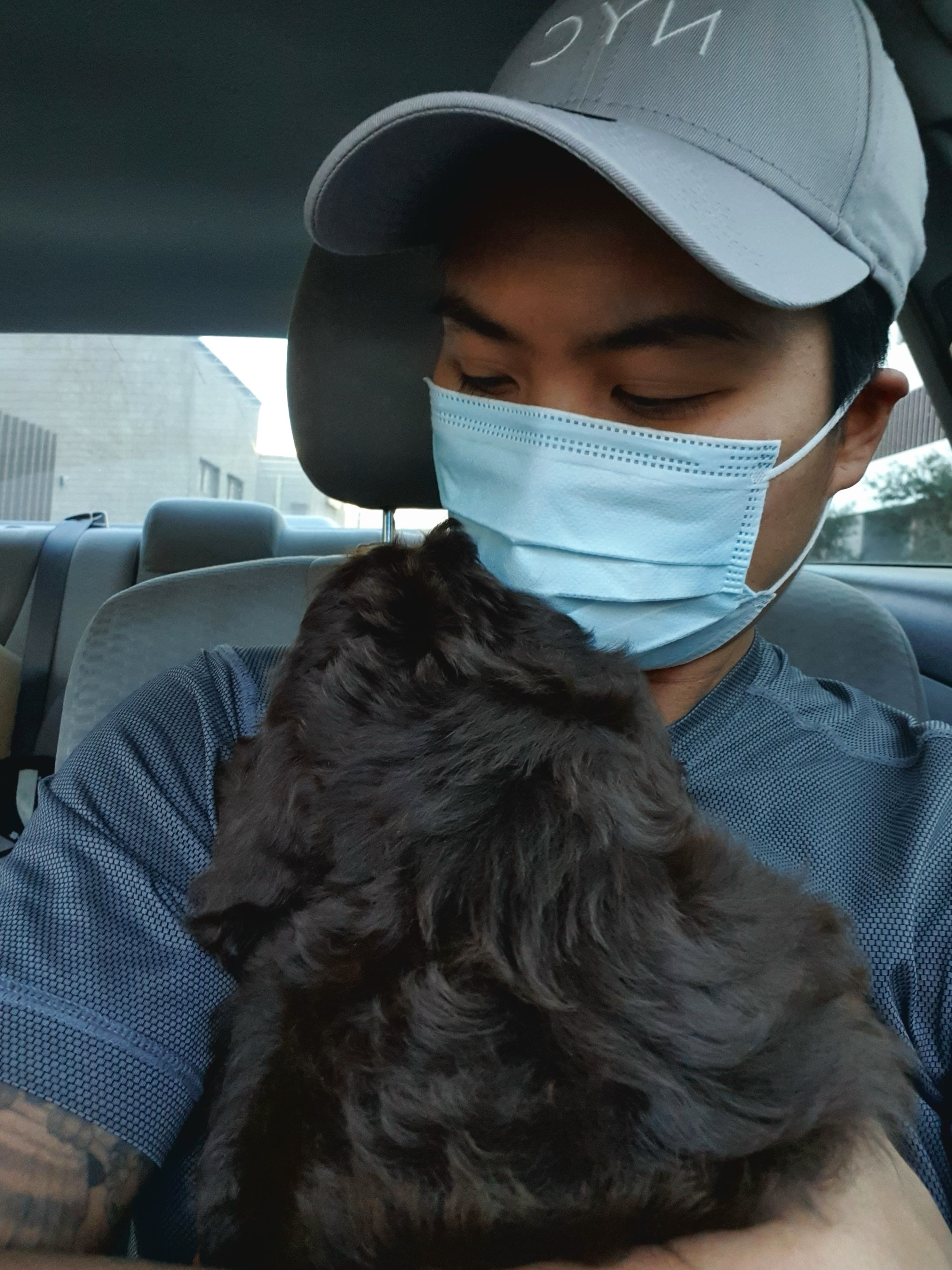 image-3