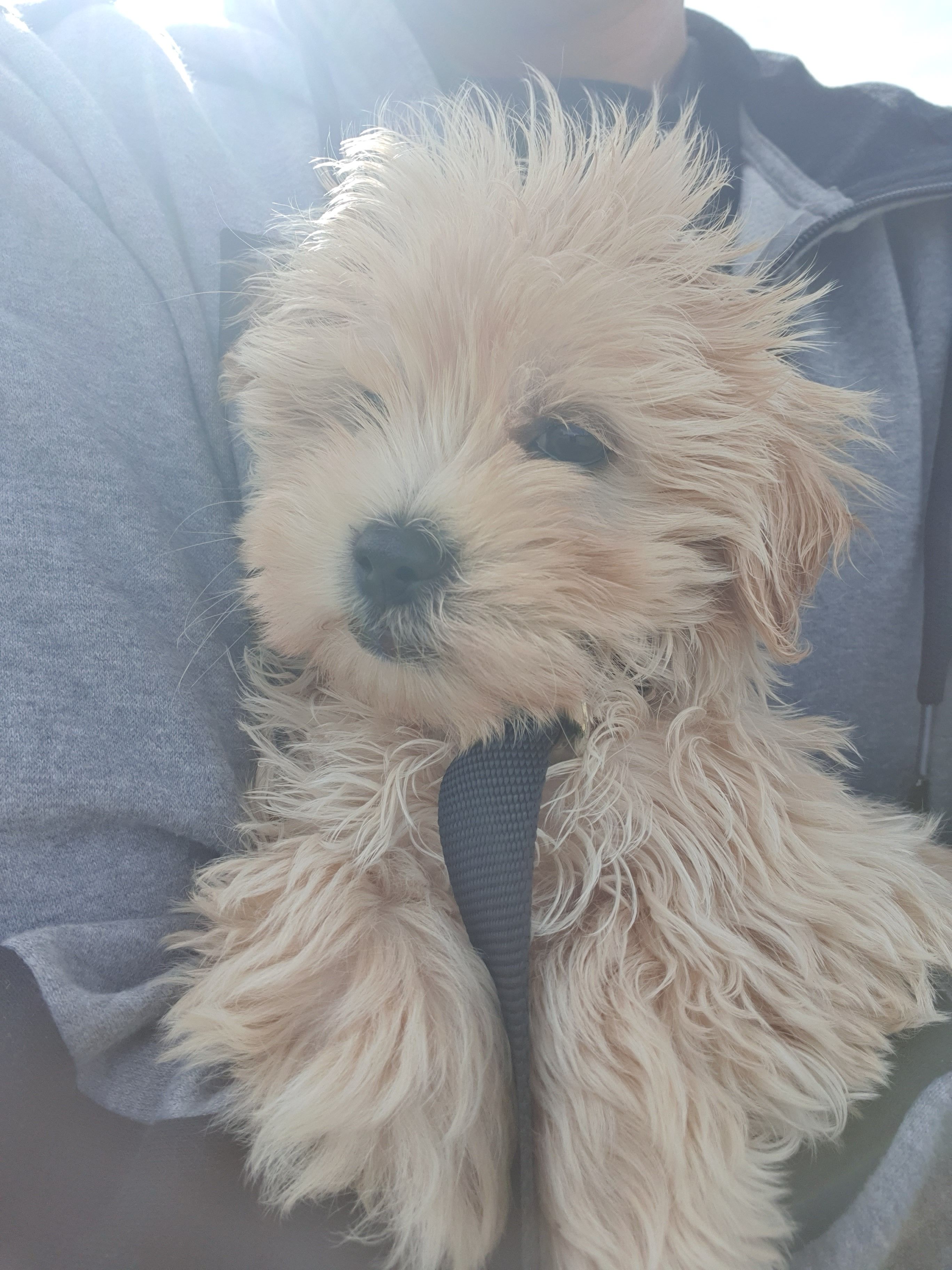 image-10