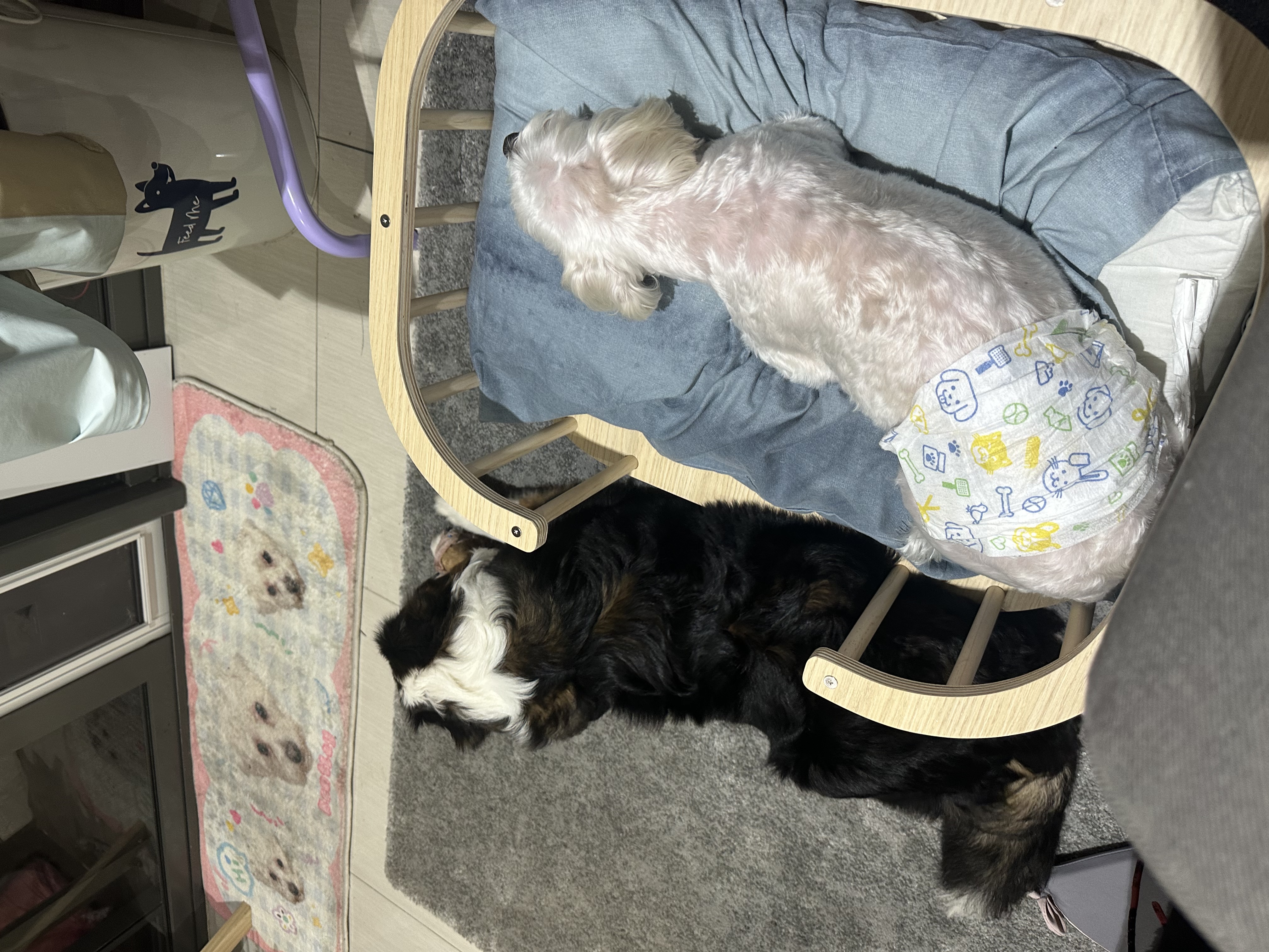 image-5