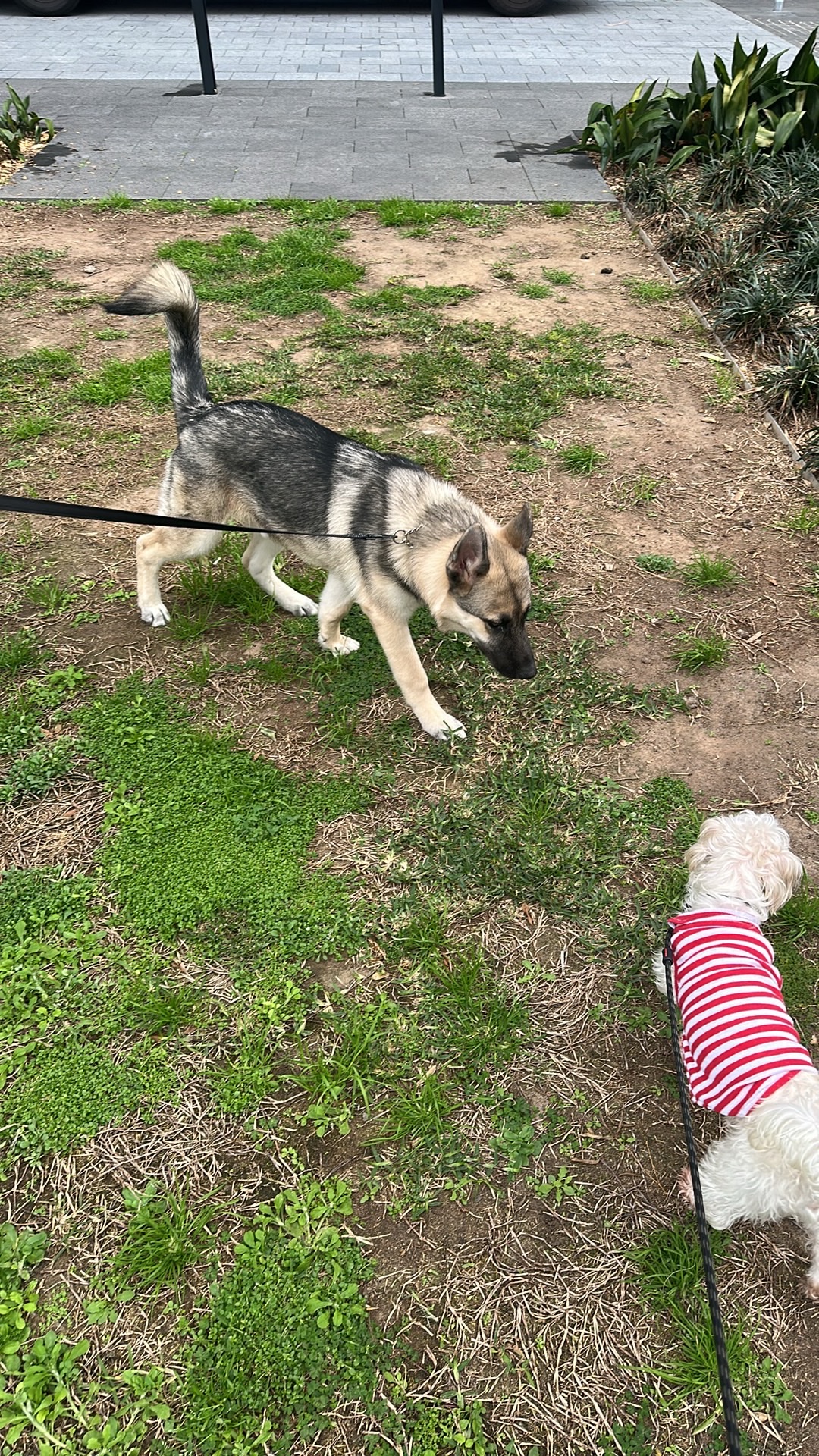 image-15