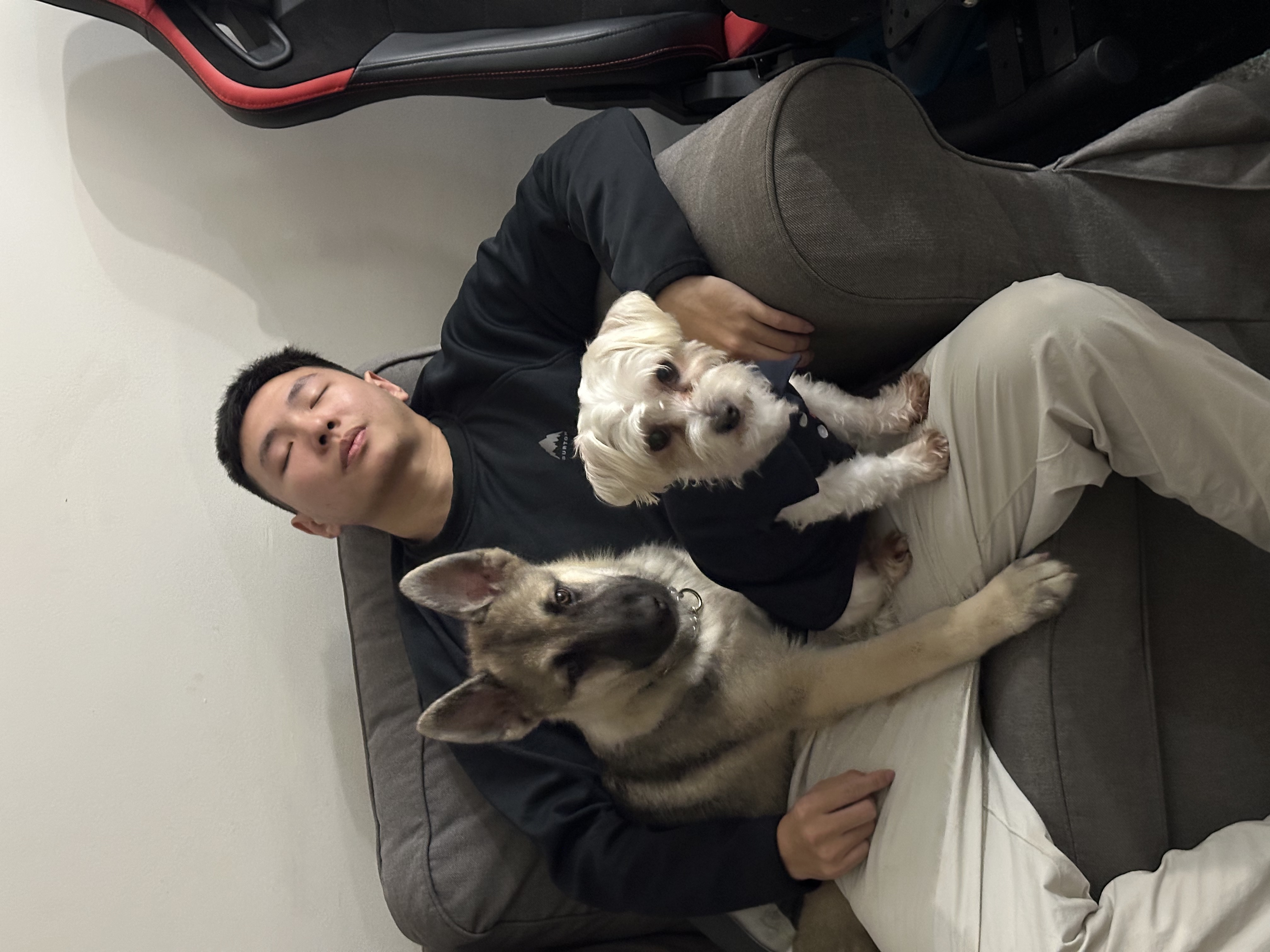 image-1