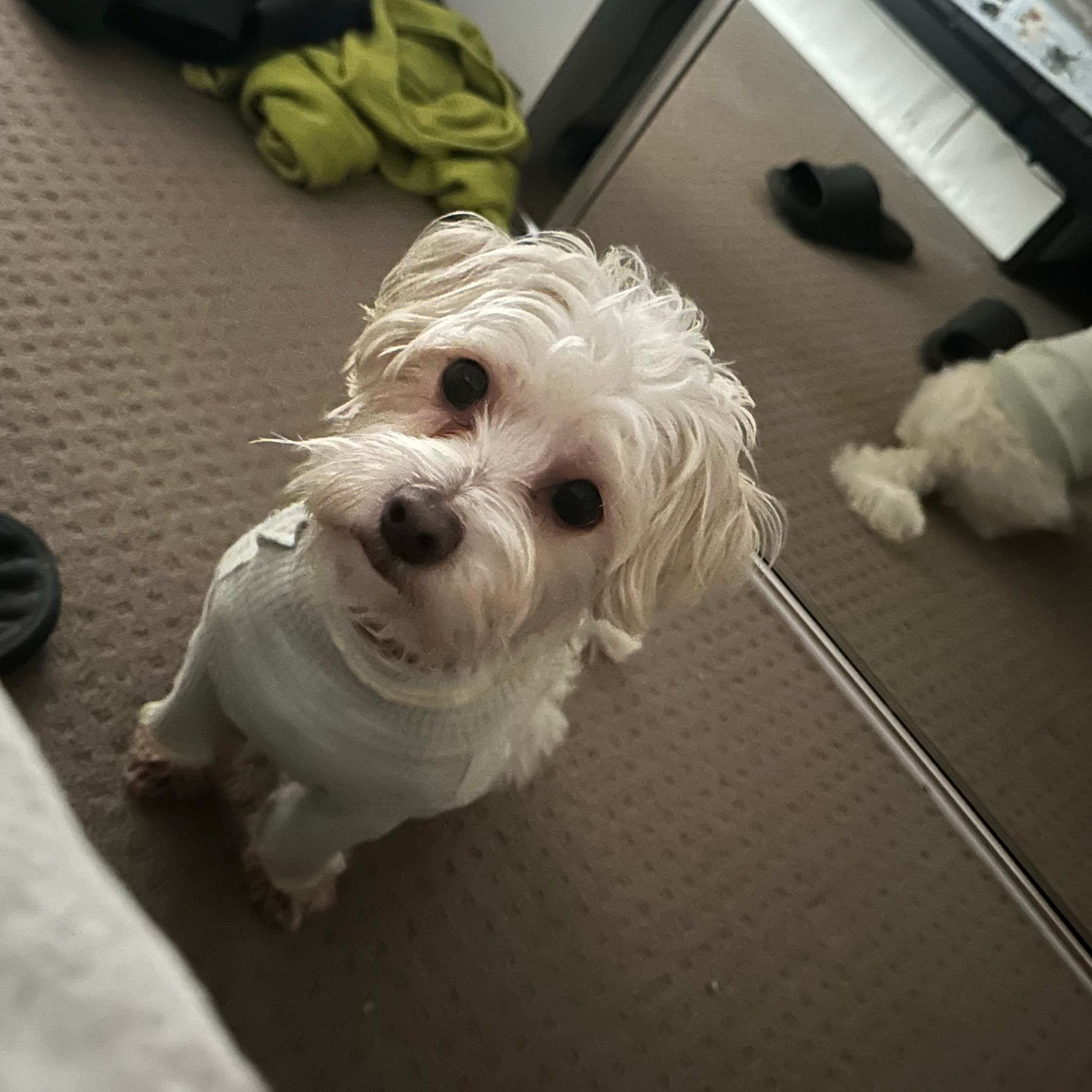 Bentley