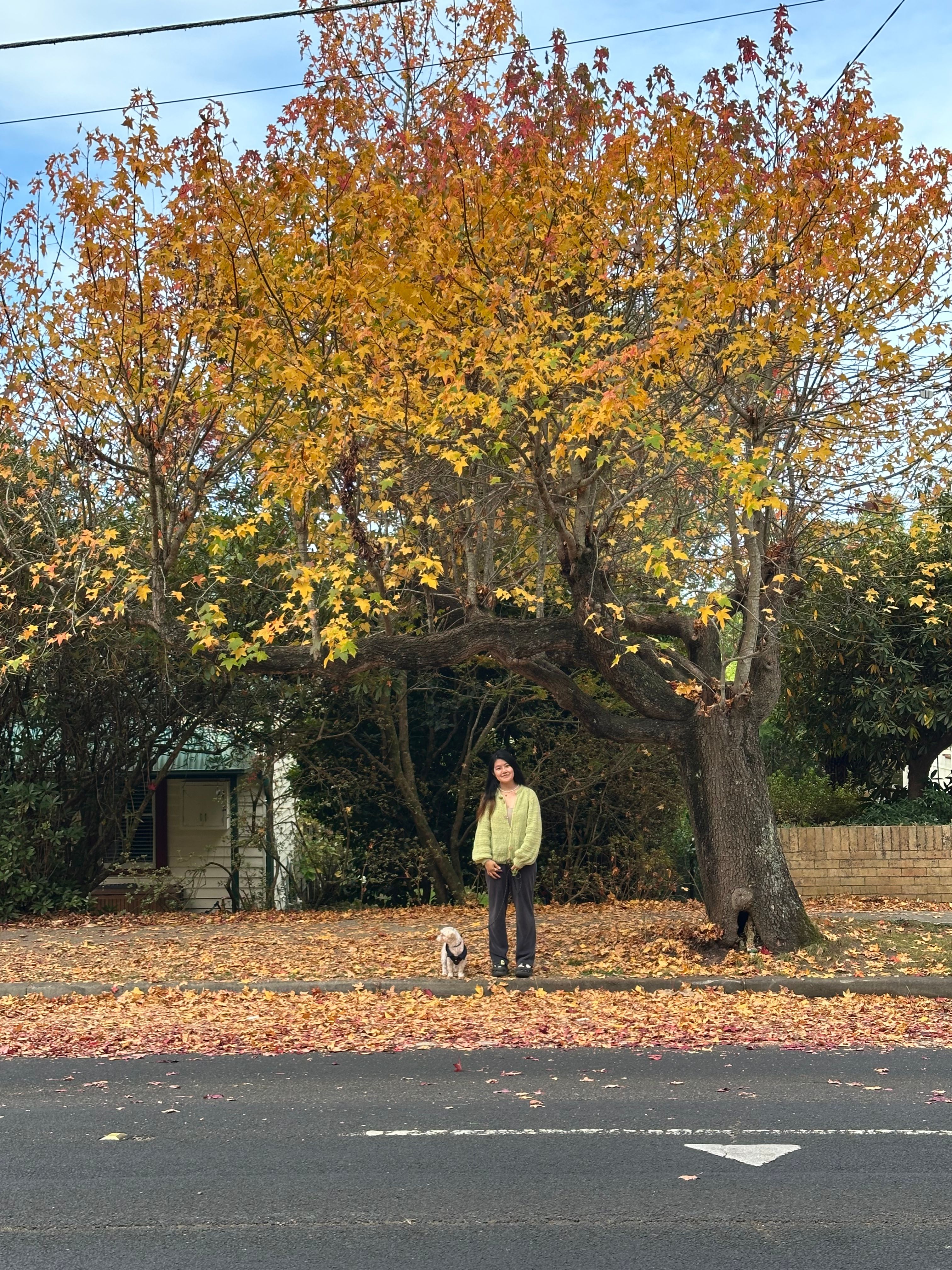 image-2